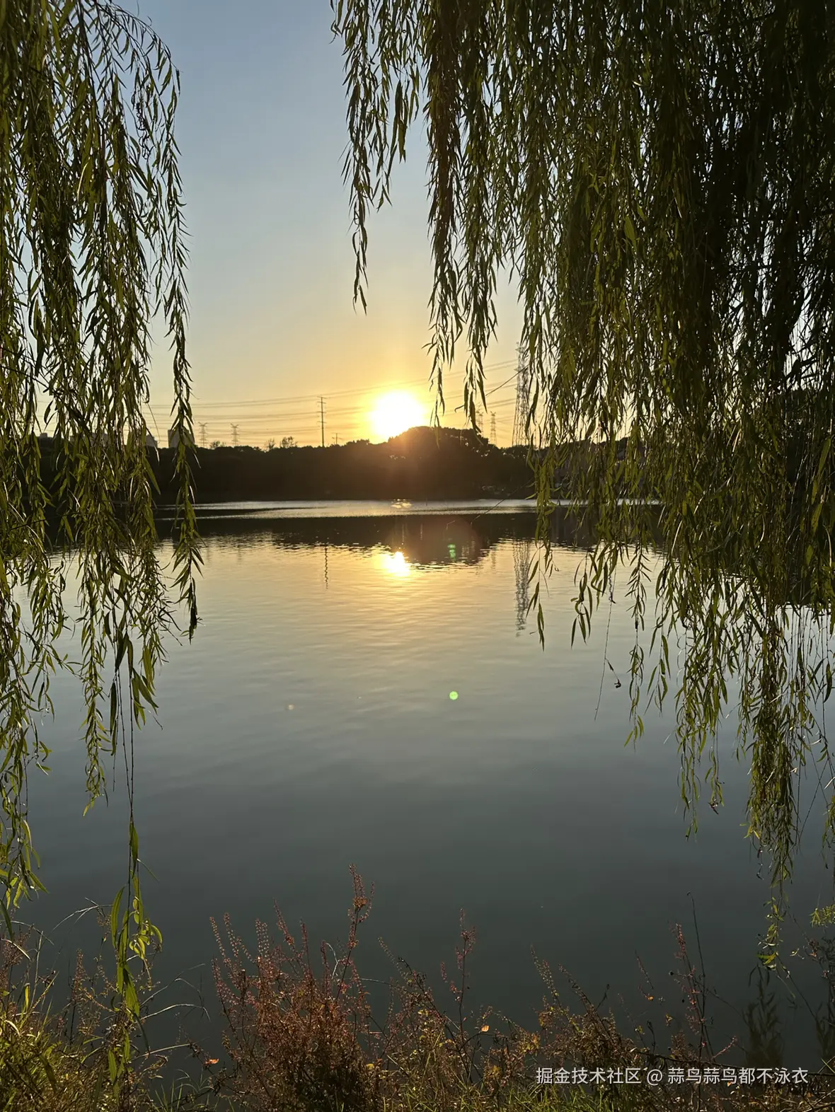 蒜鸟蒜鸟都不泳衣于2025-11-29 10:27发布的图片