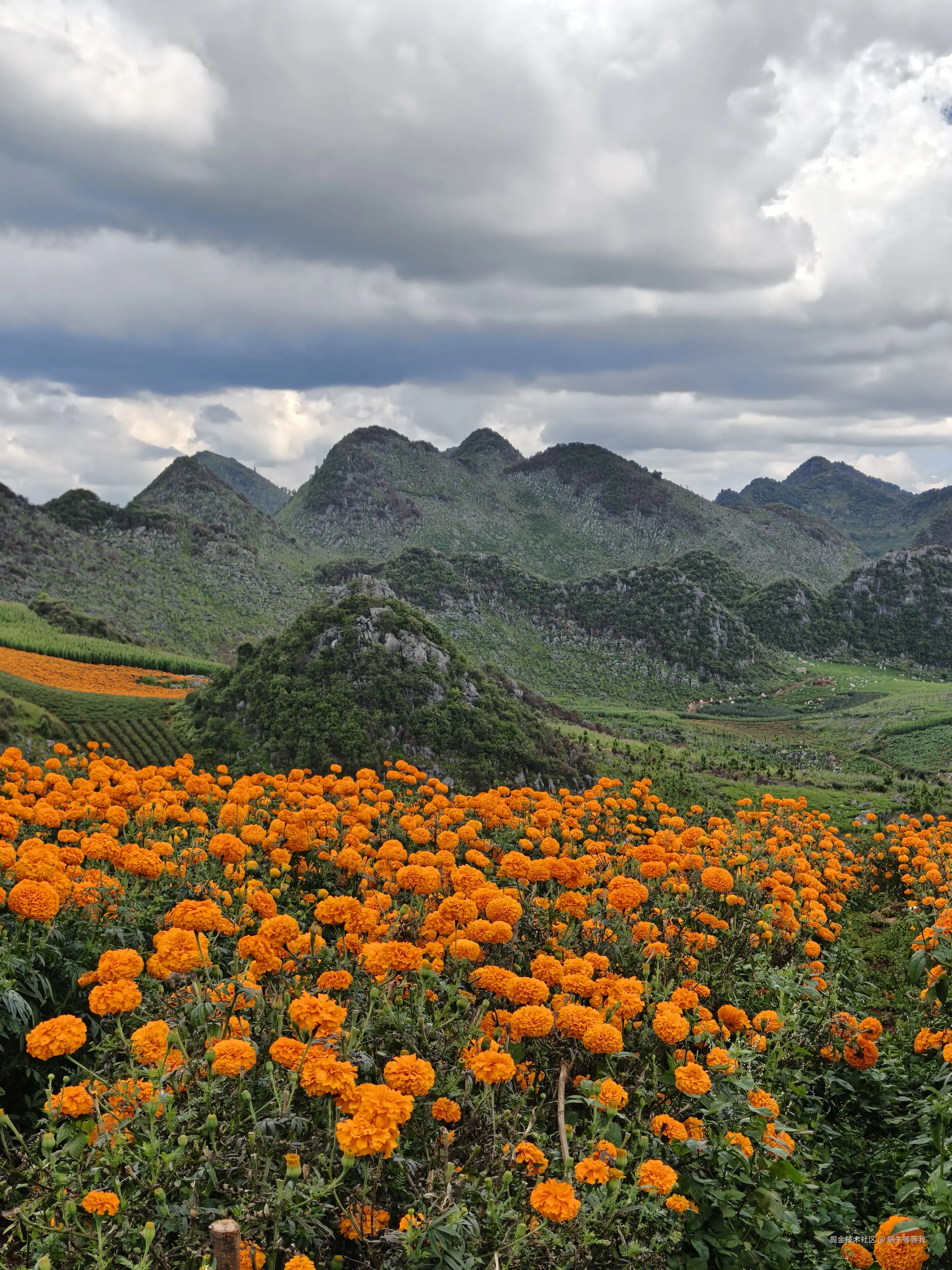 蜗牛等等我于2025-08-25 09:17发布的图片