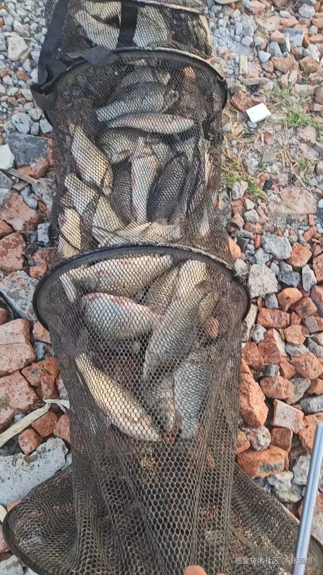 张鑫旭于2025-08-28 13:57发布的图片