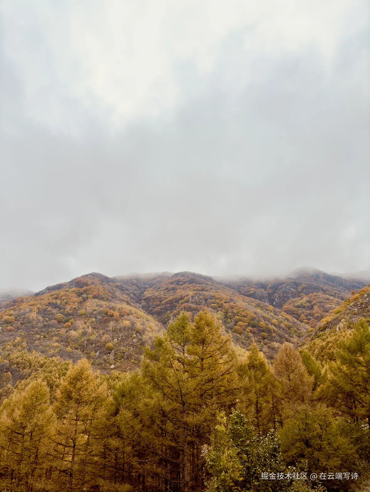 在云端写诗于2025-10-20 10:47发布的图片