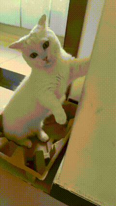 就爱吃火锅于2025-08-29 16:49发布的图片