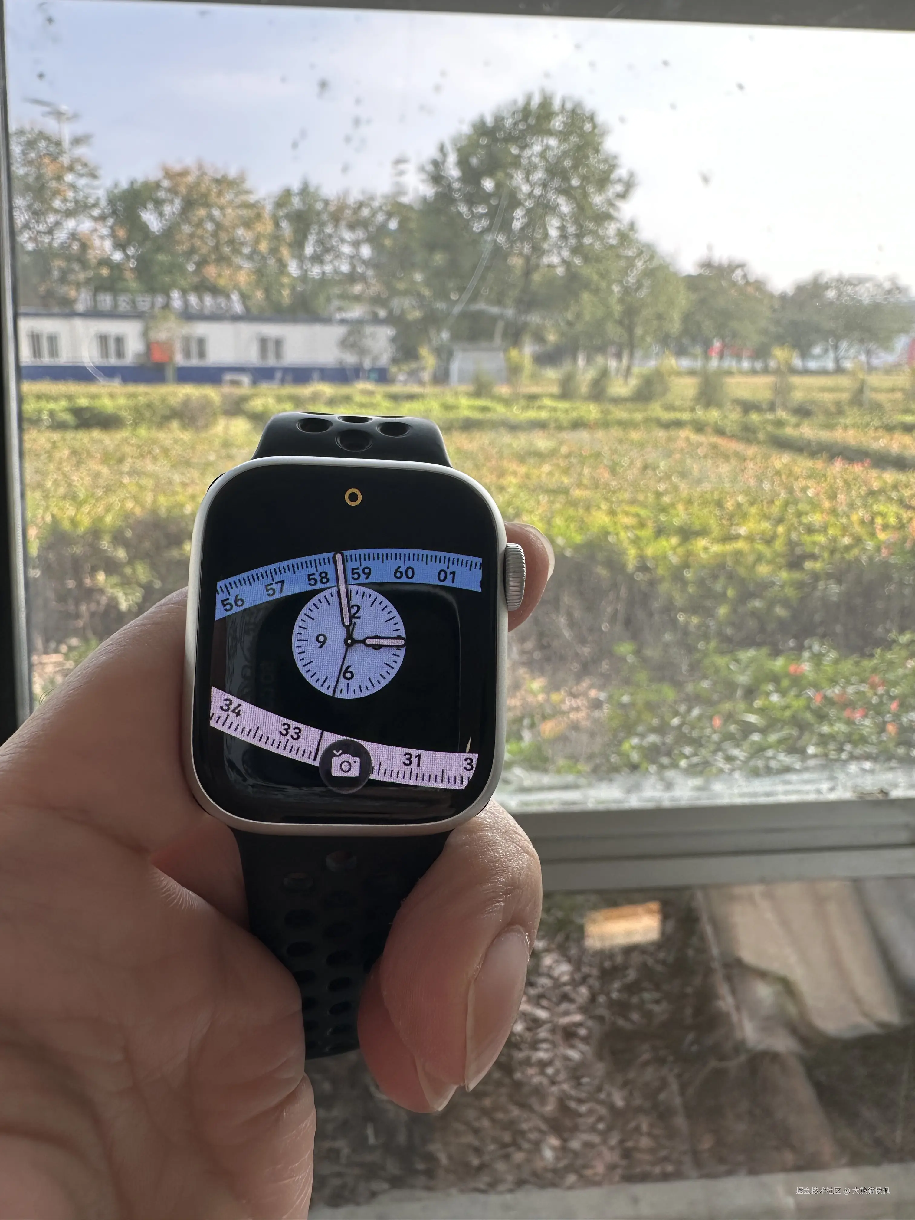 大熊猫侯佩于2025-10-08 15:02发布的图片