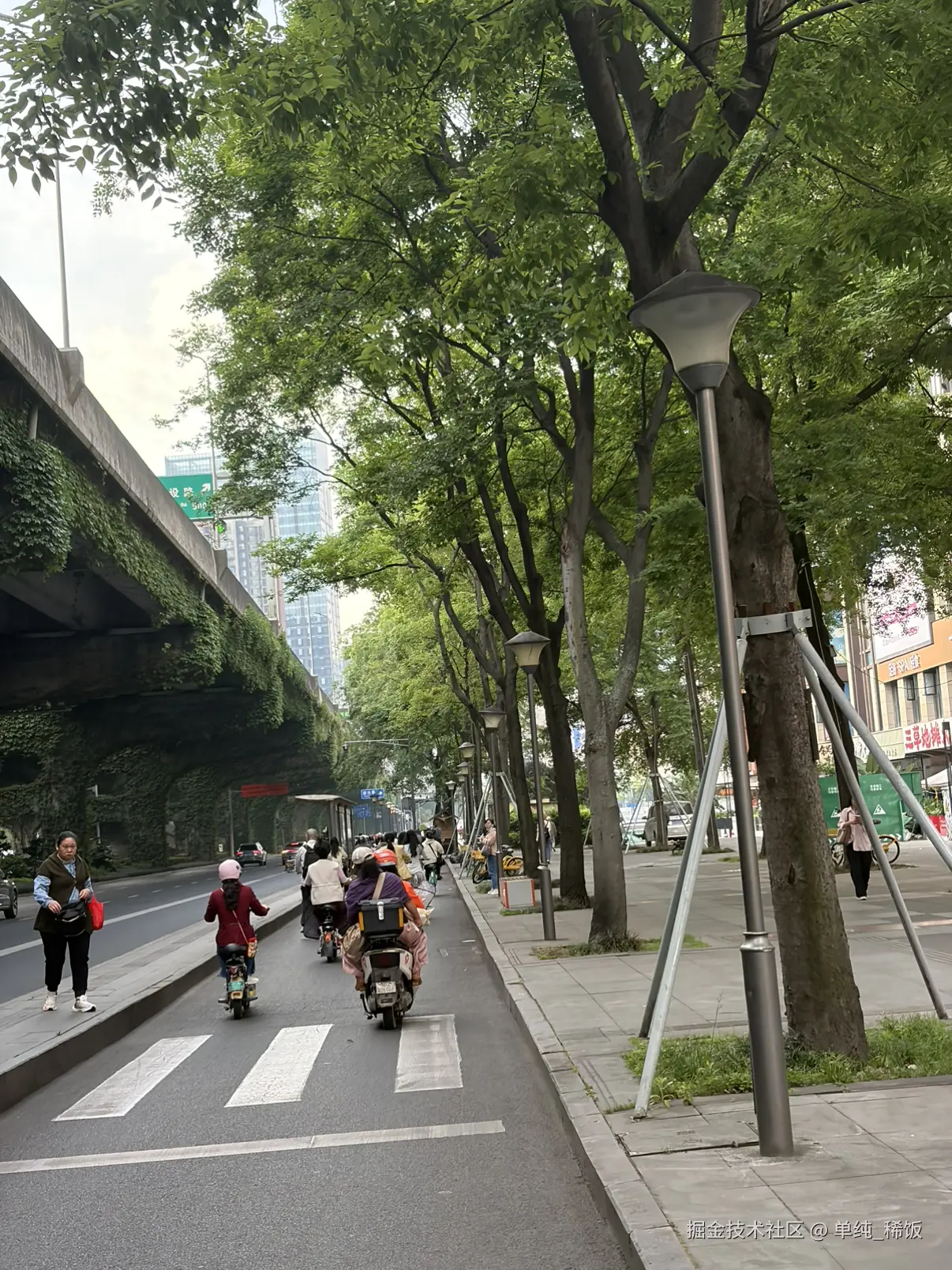 单纯_稀饭于2026-04-24 09:24发布的图片