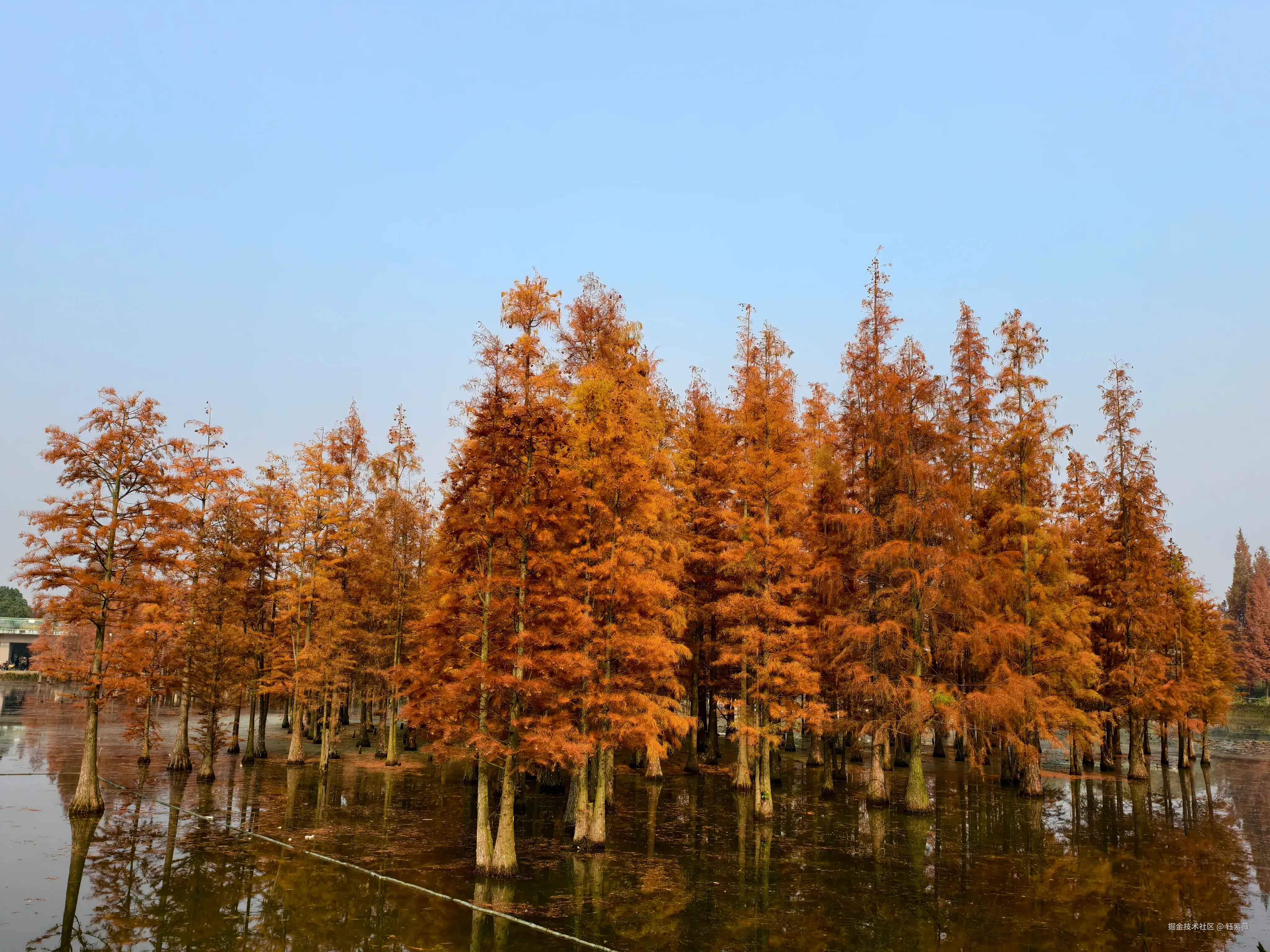 钰紫薇于2025-12-01 09:42发布的图片