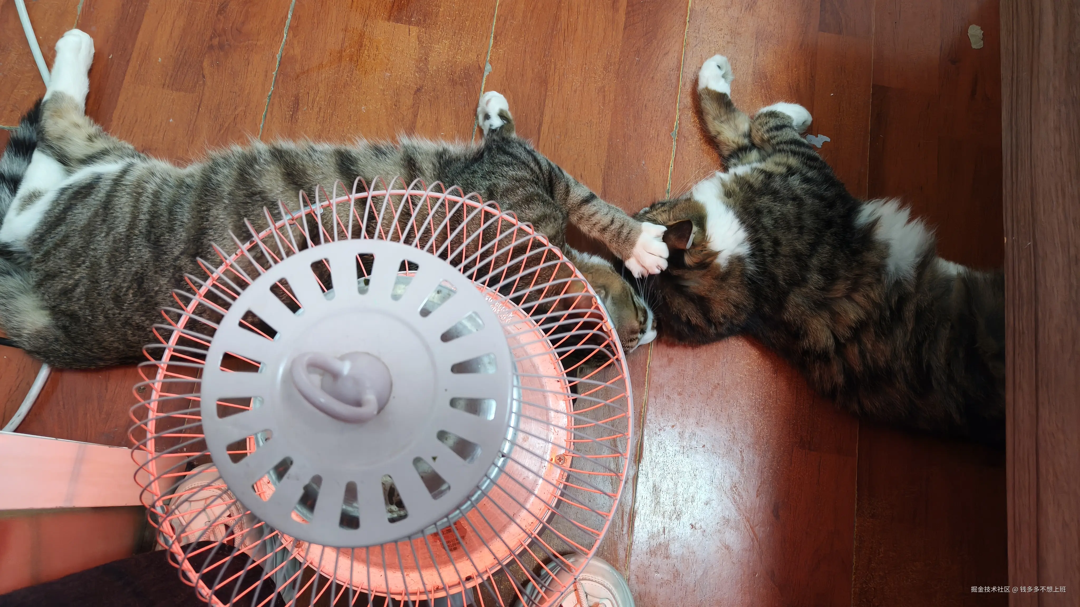 钱多多不想上班于2025-12-23 10:19发布的图片