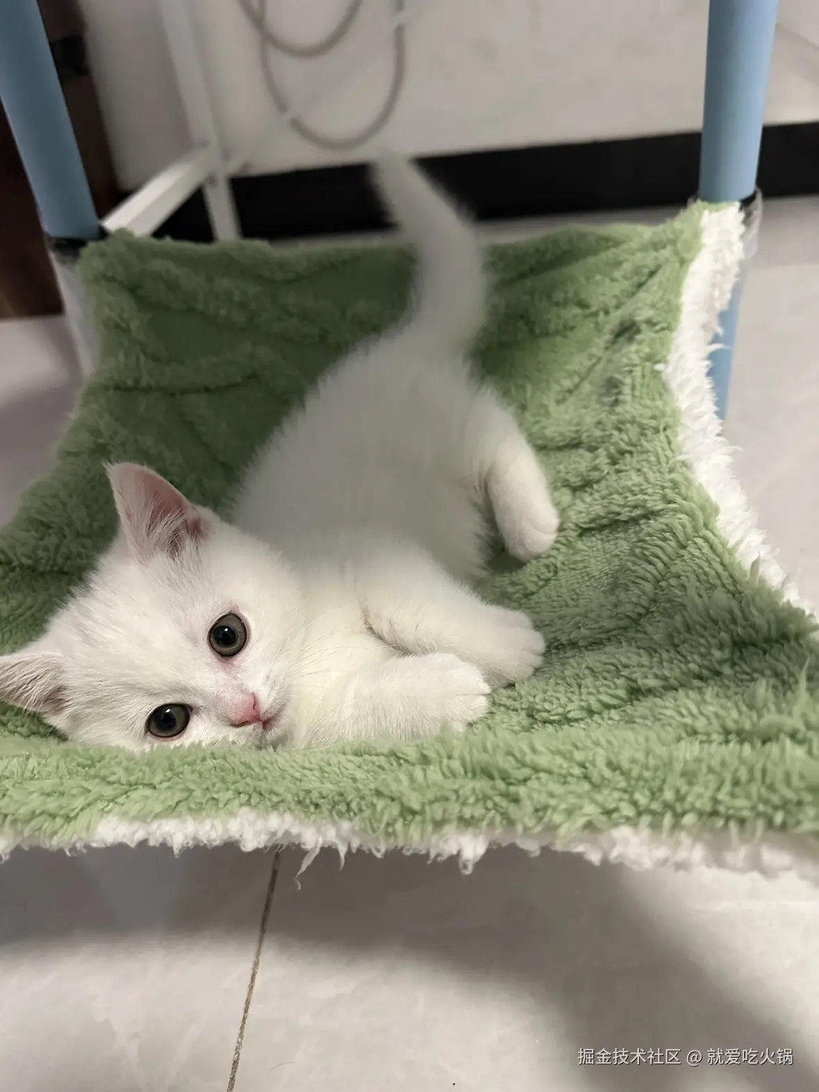 就爱吃火锅于2025-03-03 09:33发布的图片