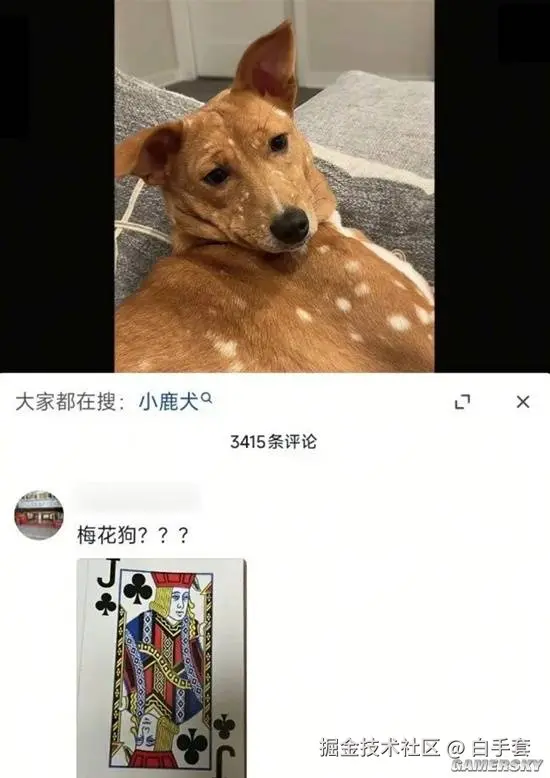 白手套于2026-01-14 15:44发布的图片
