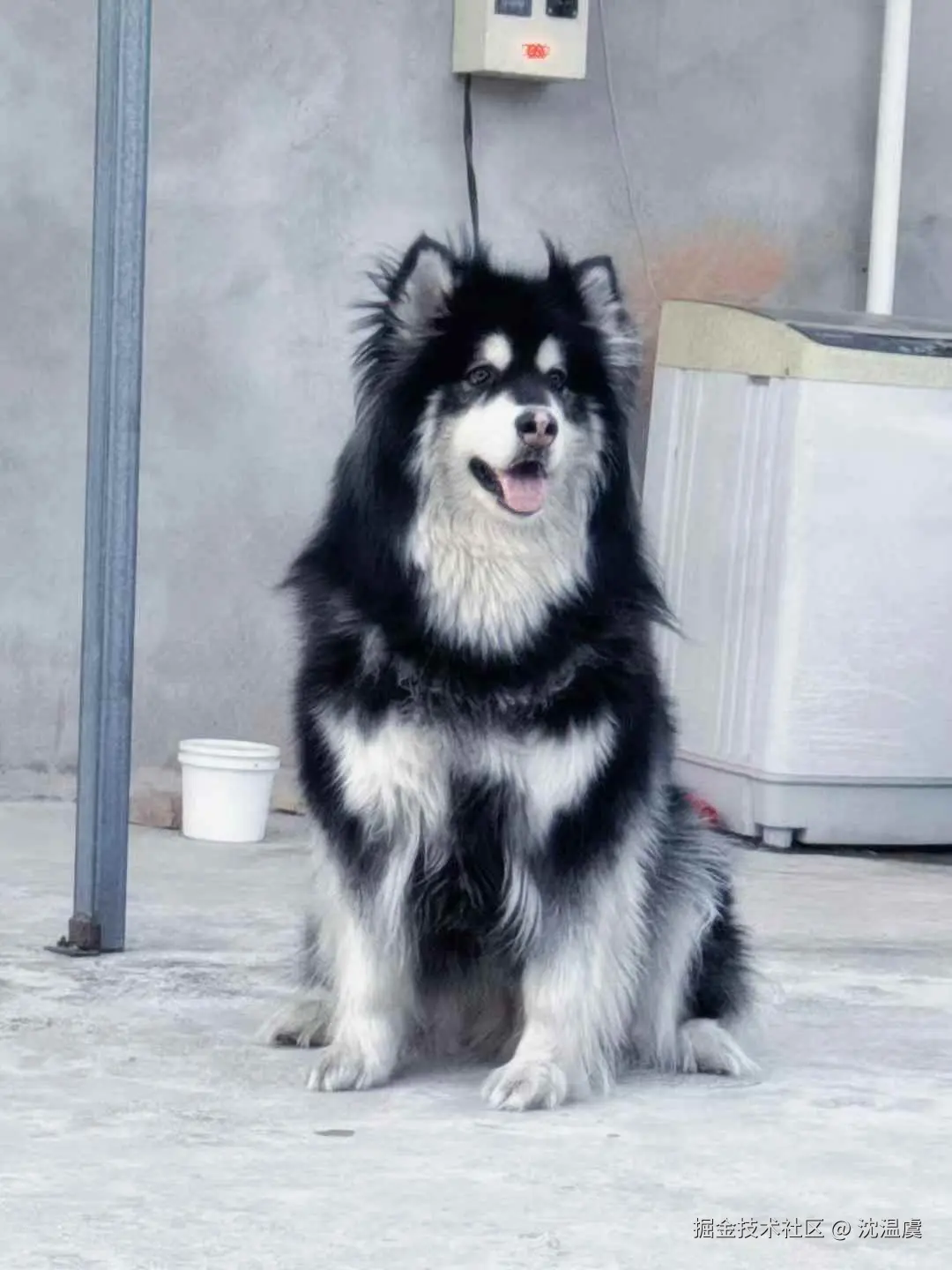 沈温虞于2026-02-09 14:39发布的图片