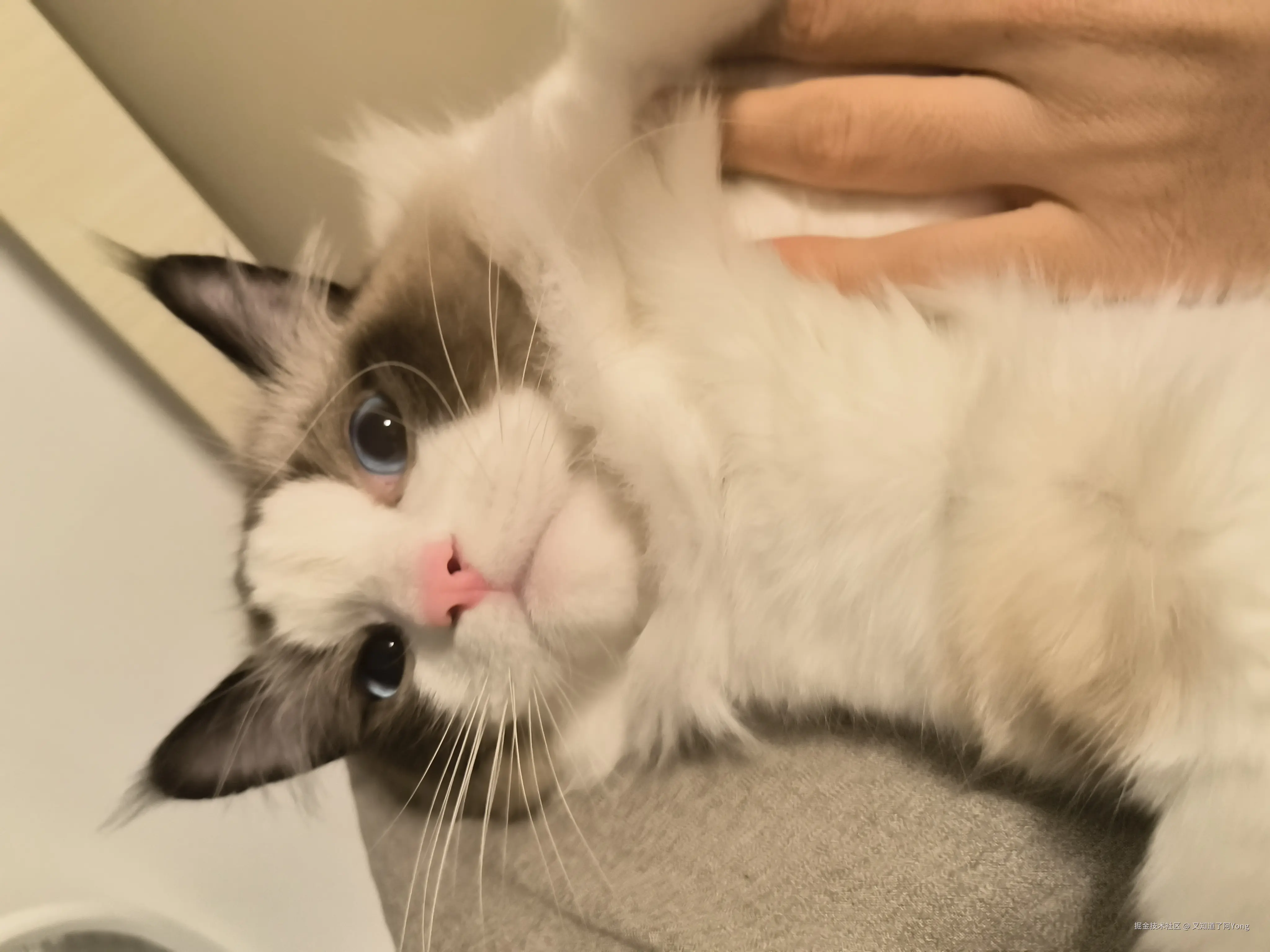 又知道了阿Yong于2025-03-01 16:46发布的图片