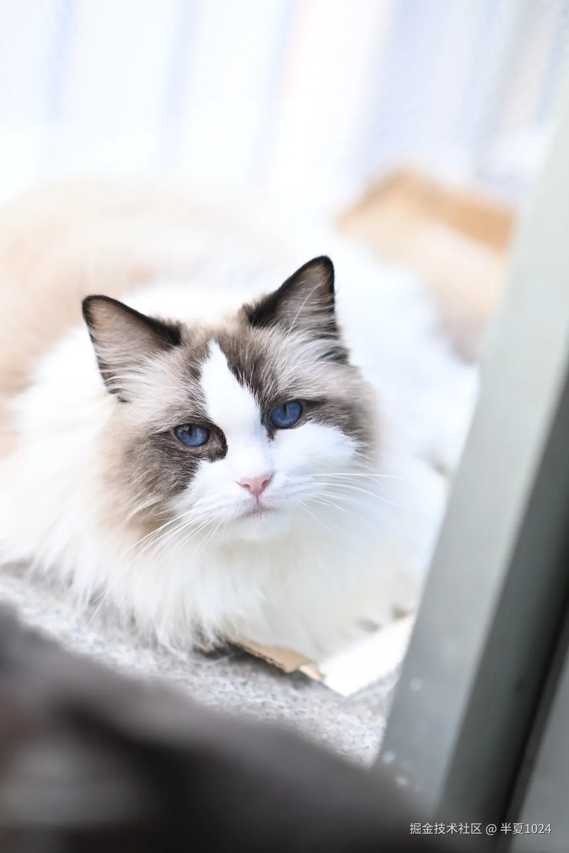 半夏1024于2024-12-31 15:47发布的图片