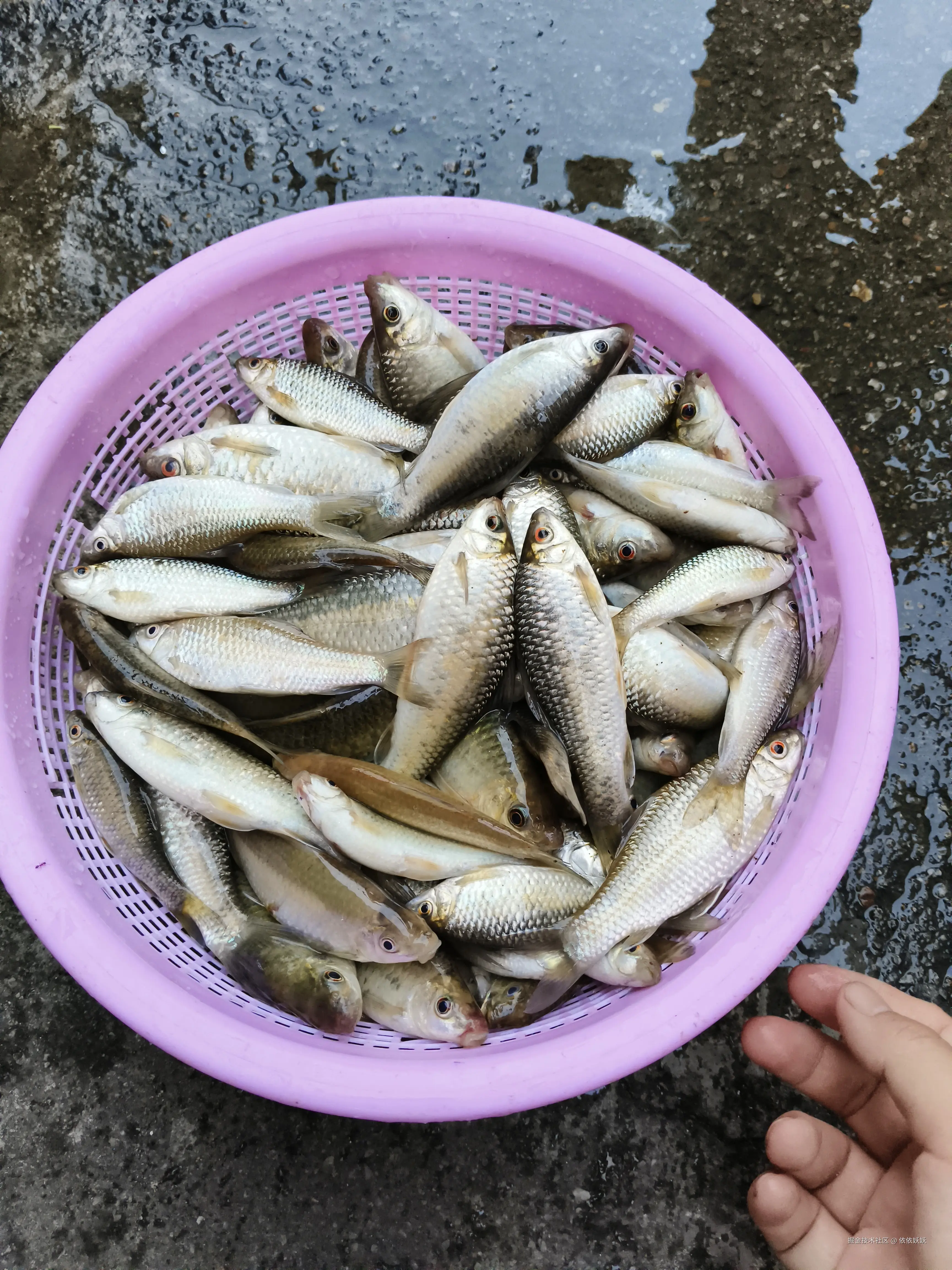 依依妖妖于2024-10-14 09:09发布的图片