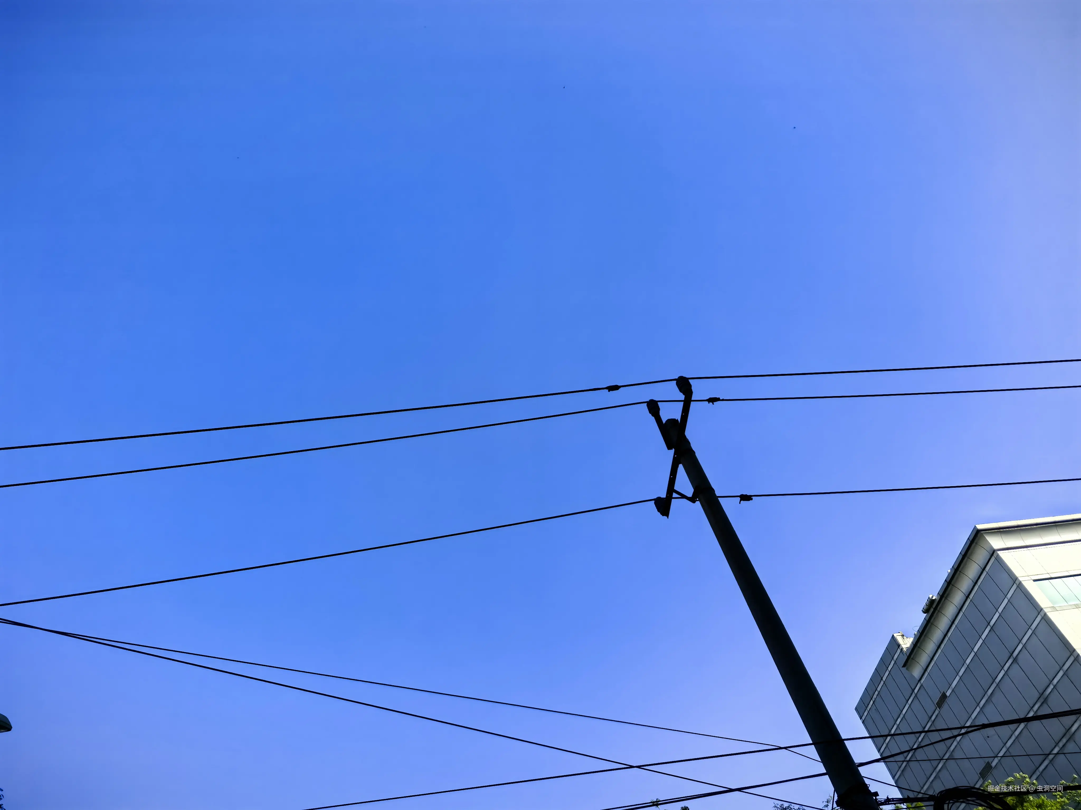 虫洞空间于2025-04-23 16:18发布的图片