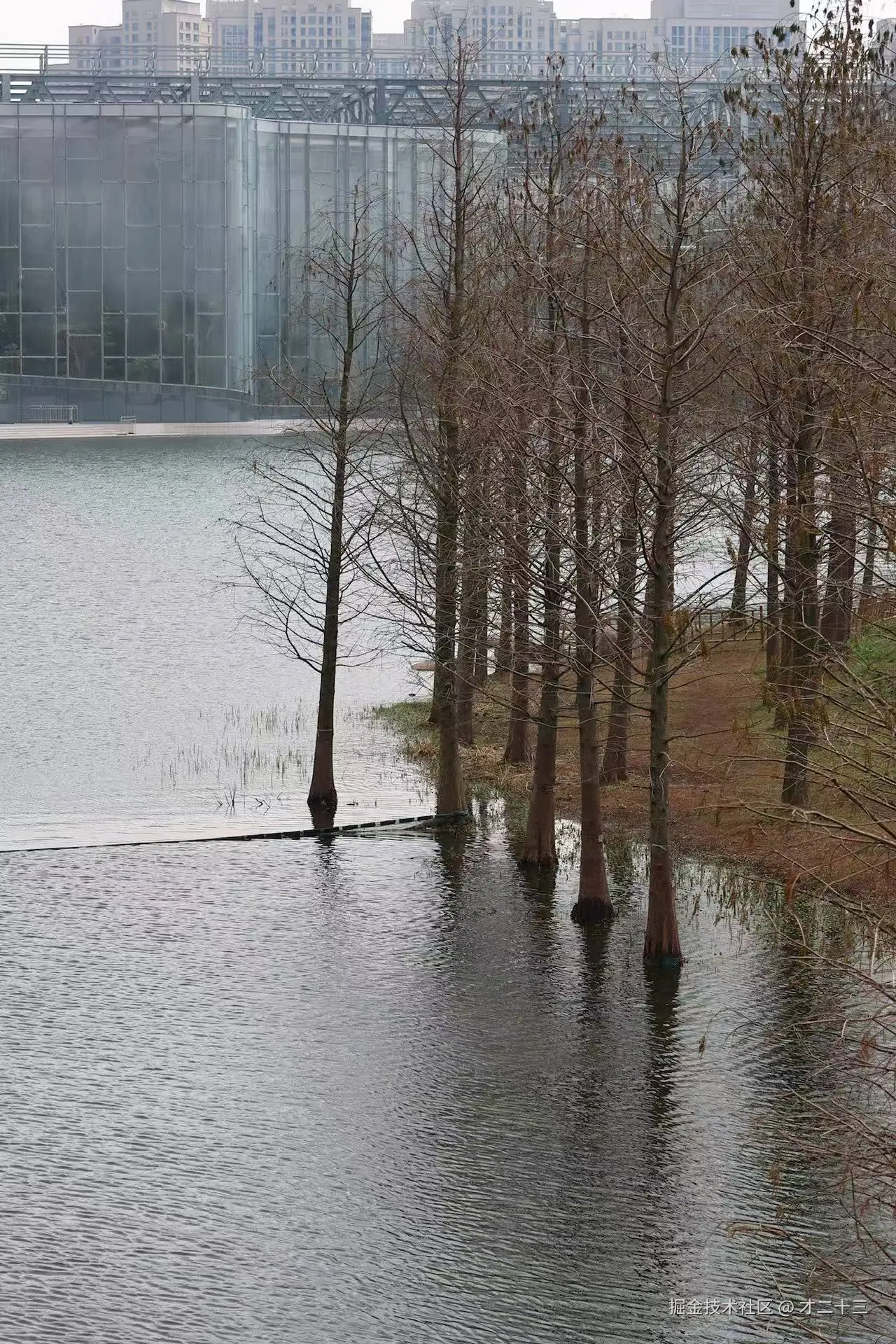 才二十三于2025-03-18 09:42发布的图片