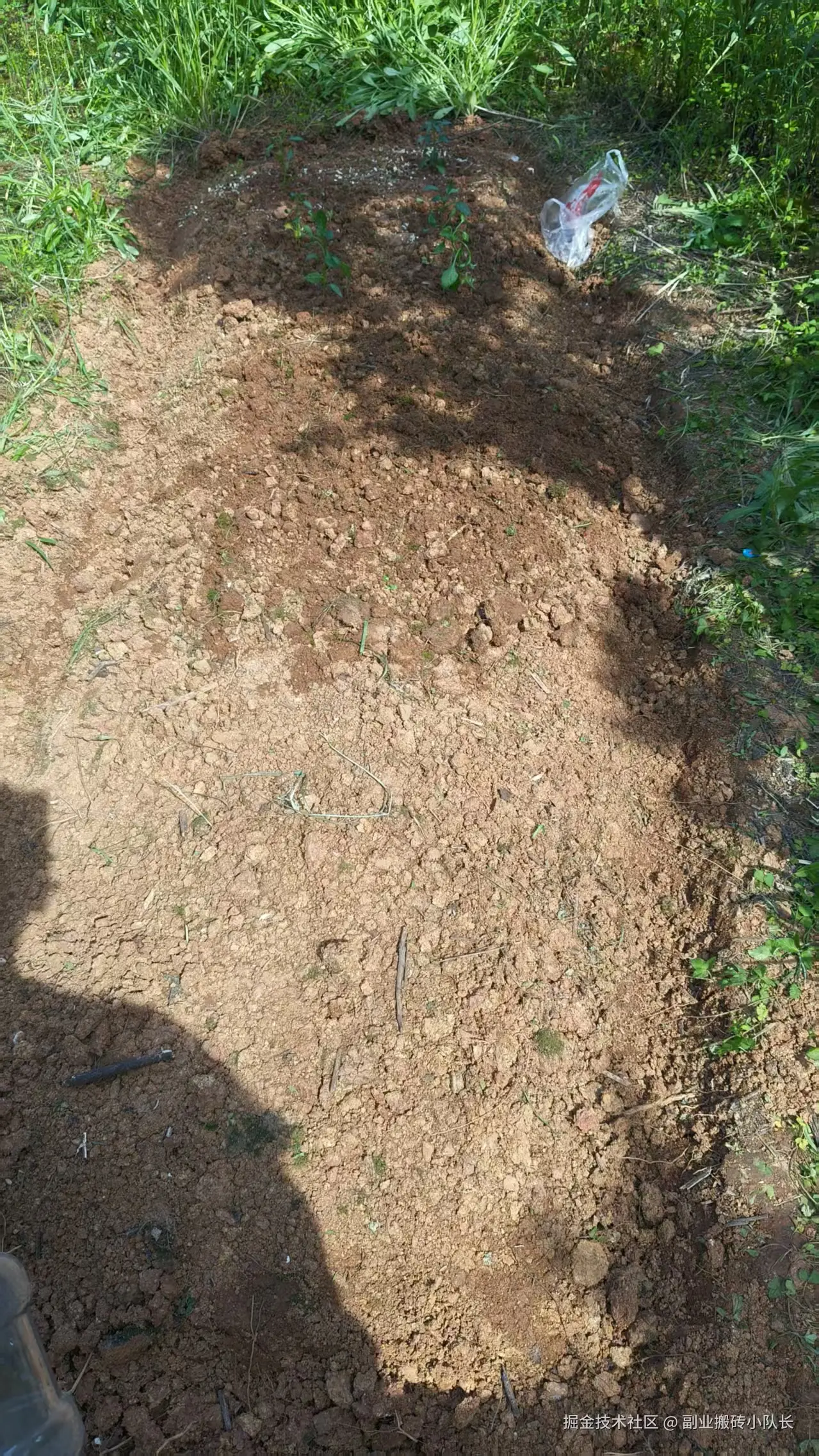 副业搬砖小队长于2026-04-20 10:21发布的图片