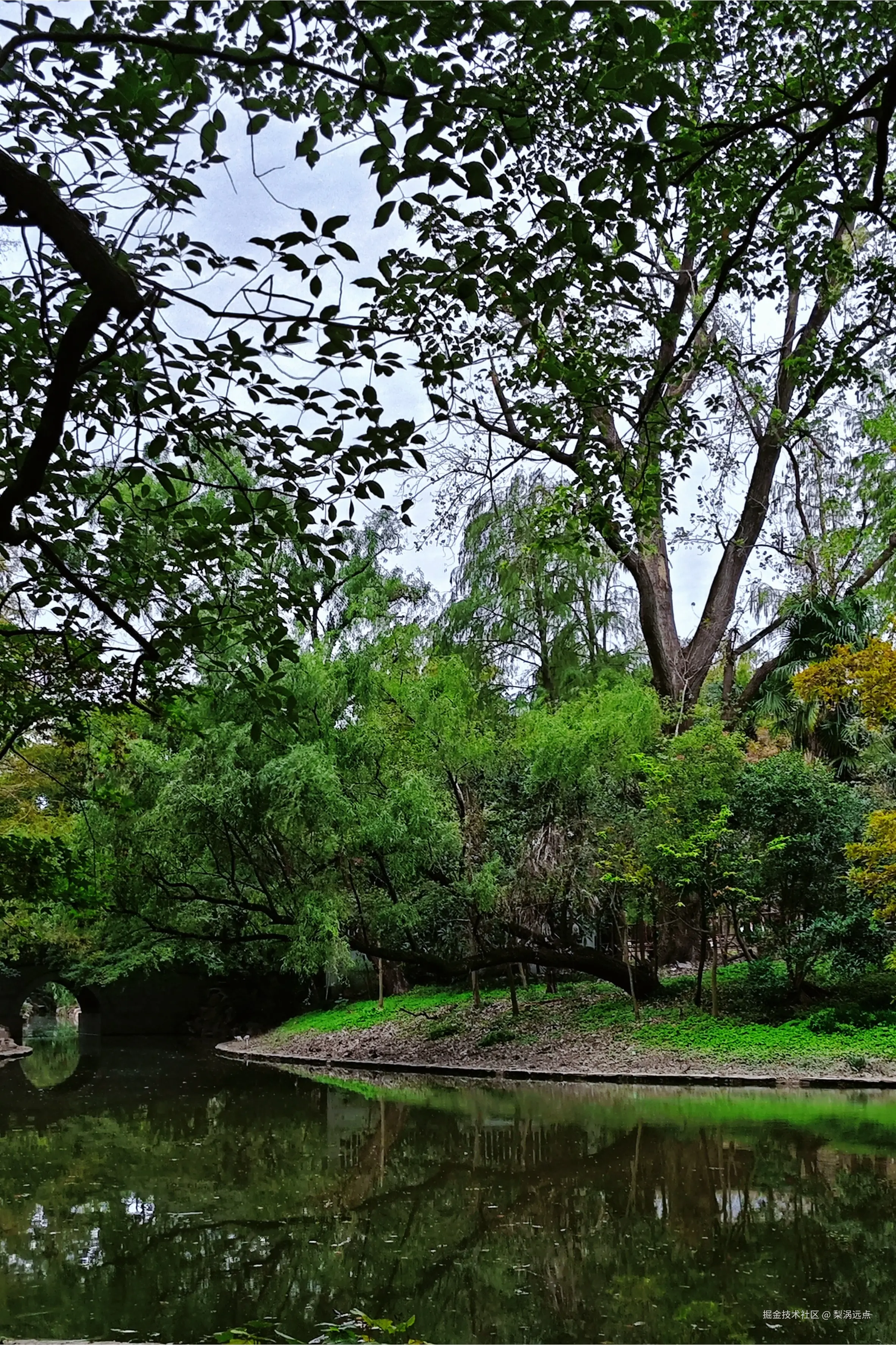 梨涡远点于2024-11-11 09:26发布的图片