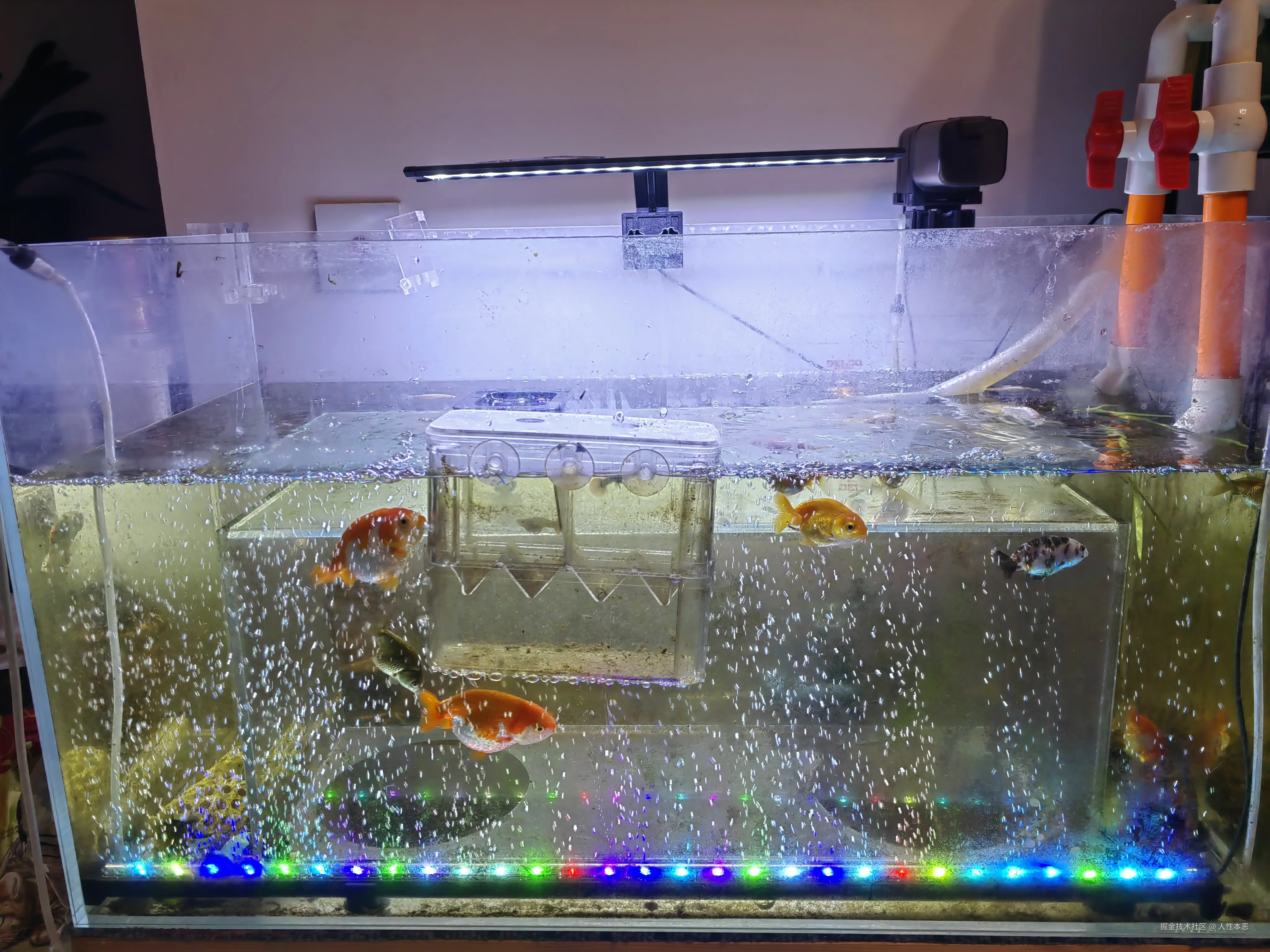 人性本恶于2025-07-04 10:46发布的图片