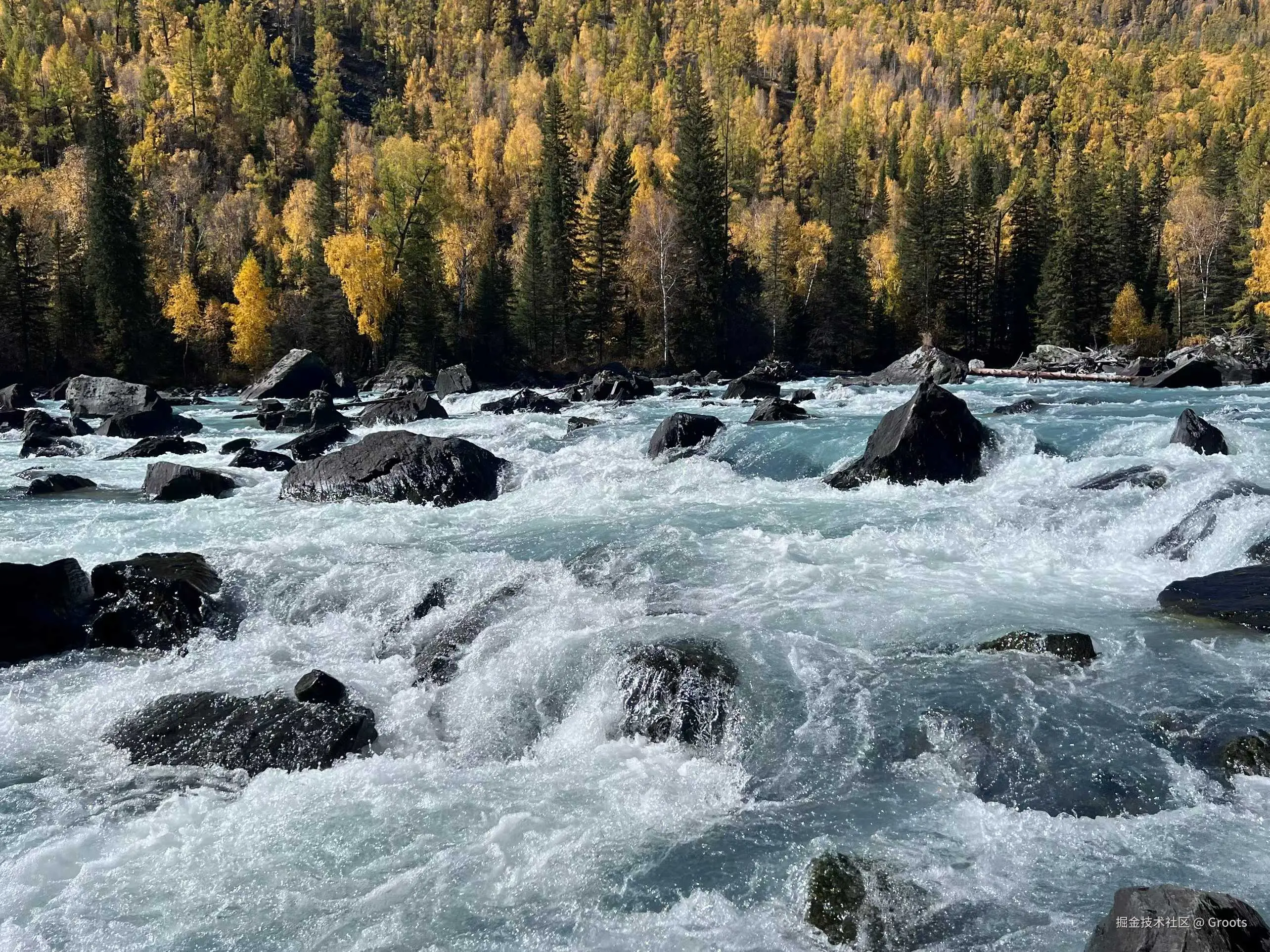 Groots于2025-09-29 09:56发布的图片