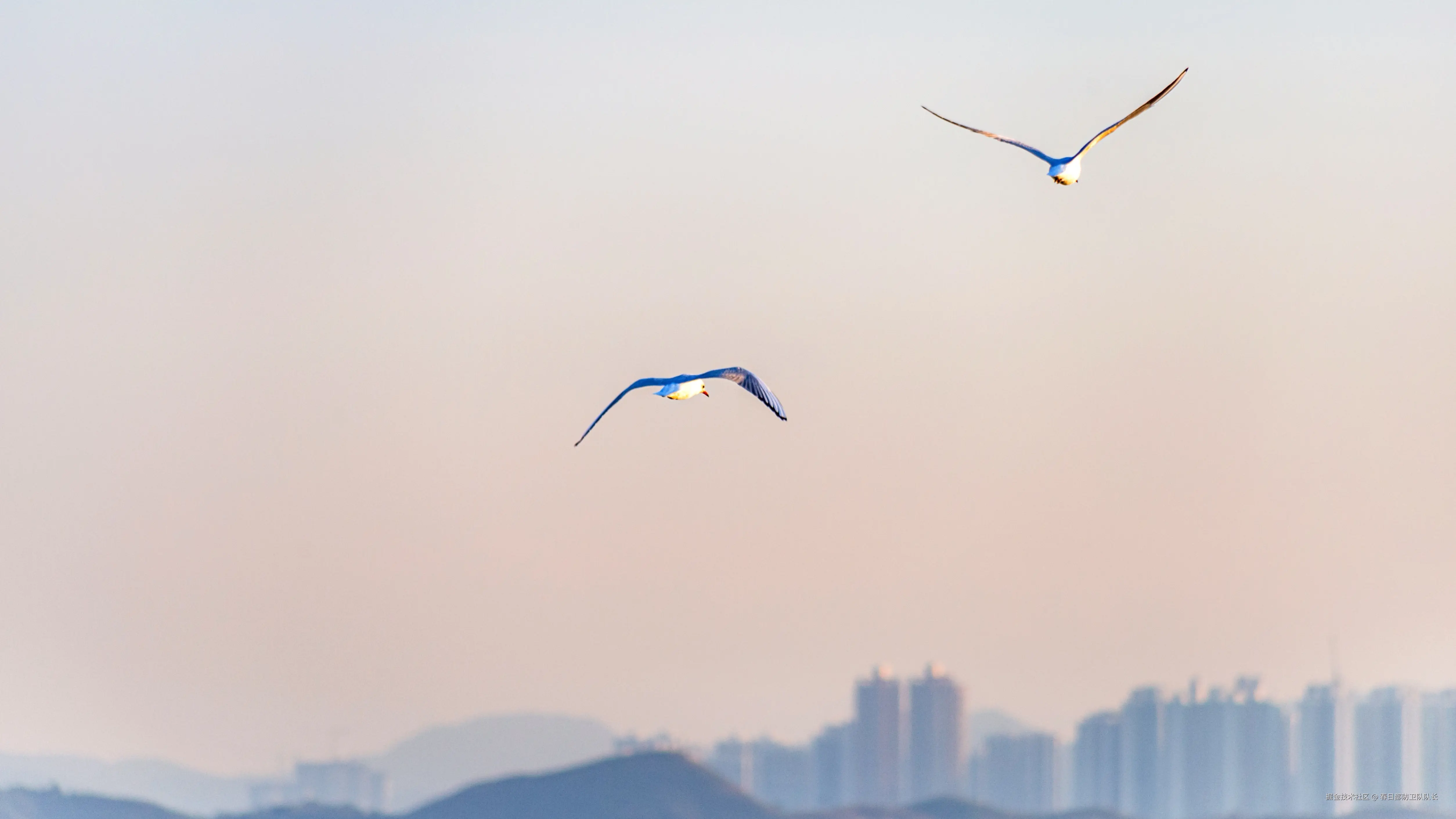 春日部防卫队队长于2024-12-02 09:50发布的图片