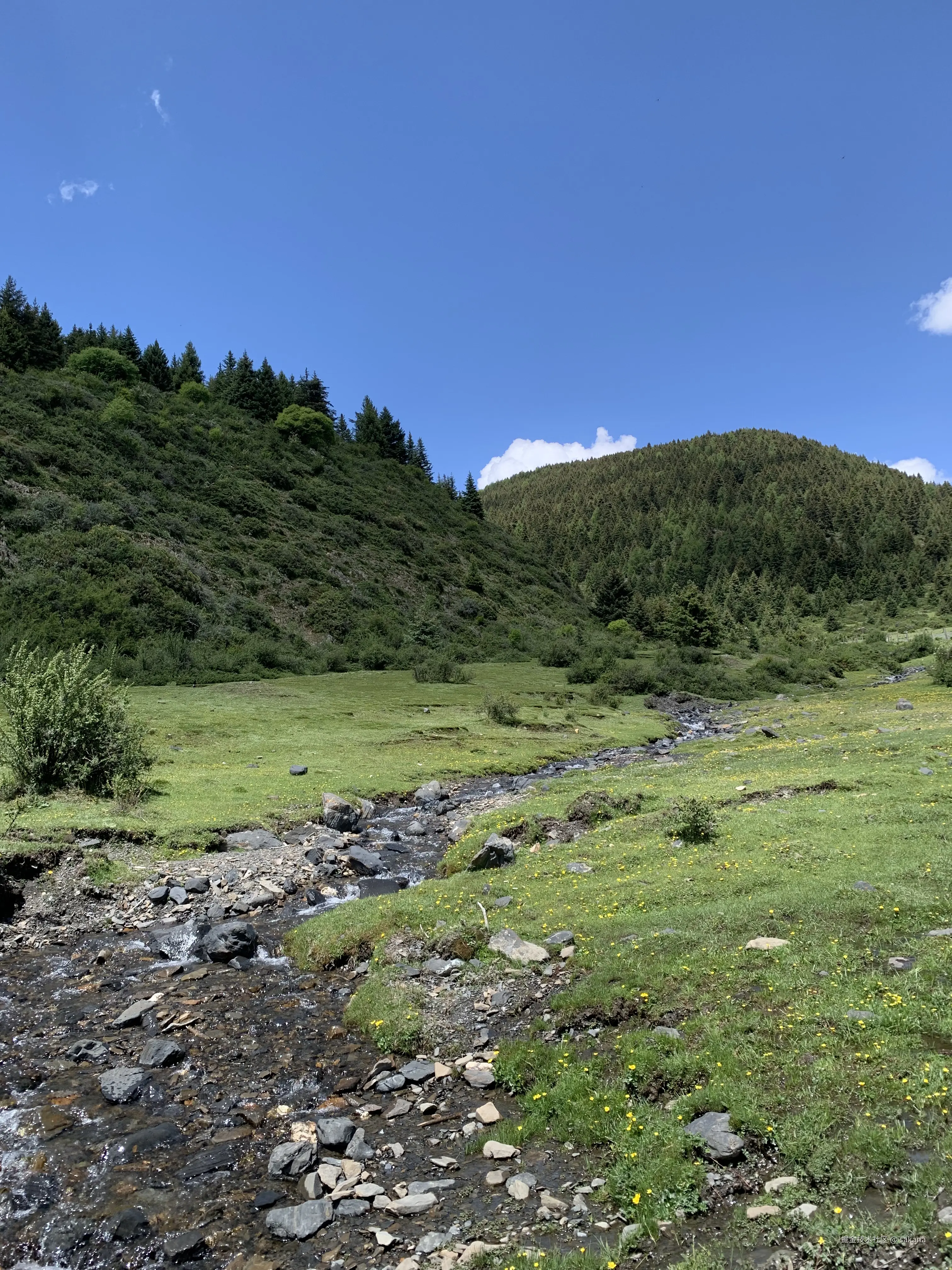 sakana于2025-07-24 16:05发布的图片