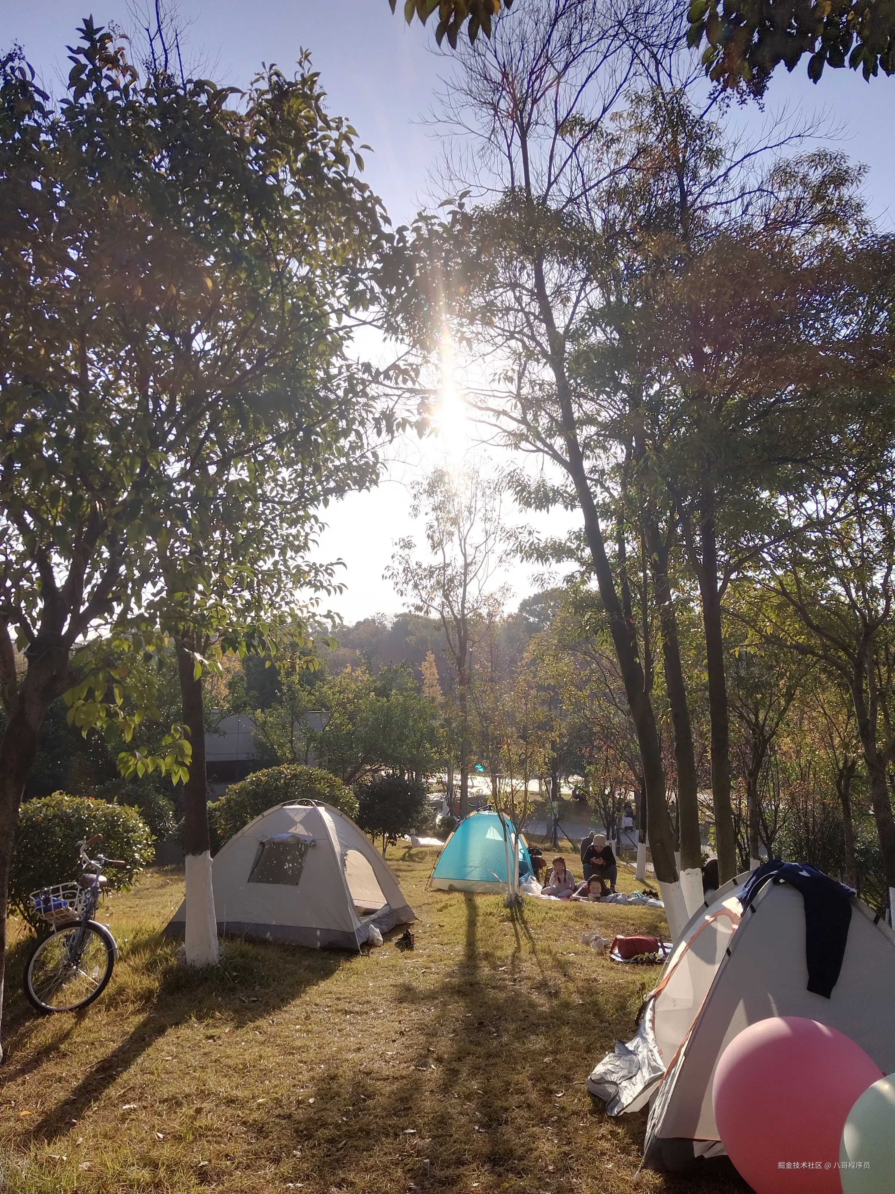 八哥程序员于2025-11-30 16:47发布的图片