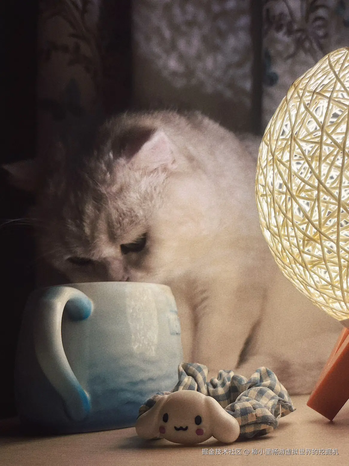 柳小里畅游虚拟世界的挖掘机于2025-11-18 16:34发布的图片