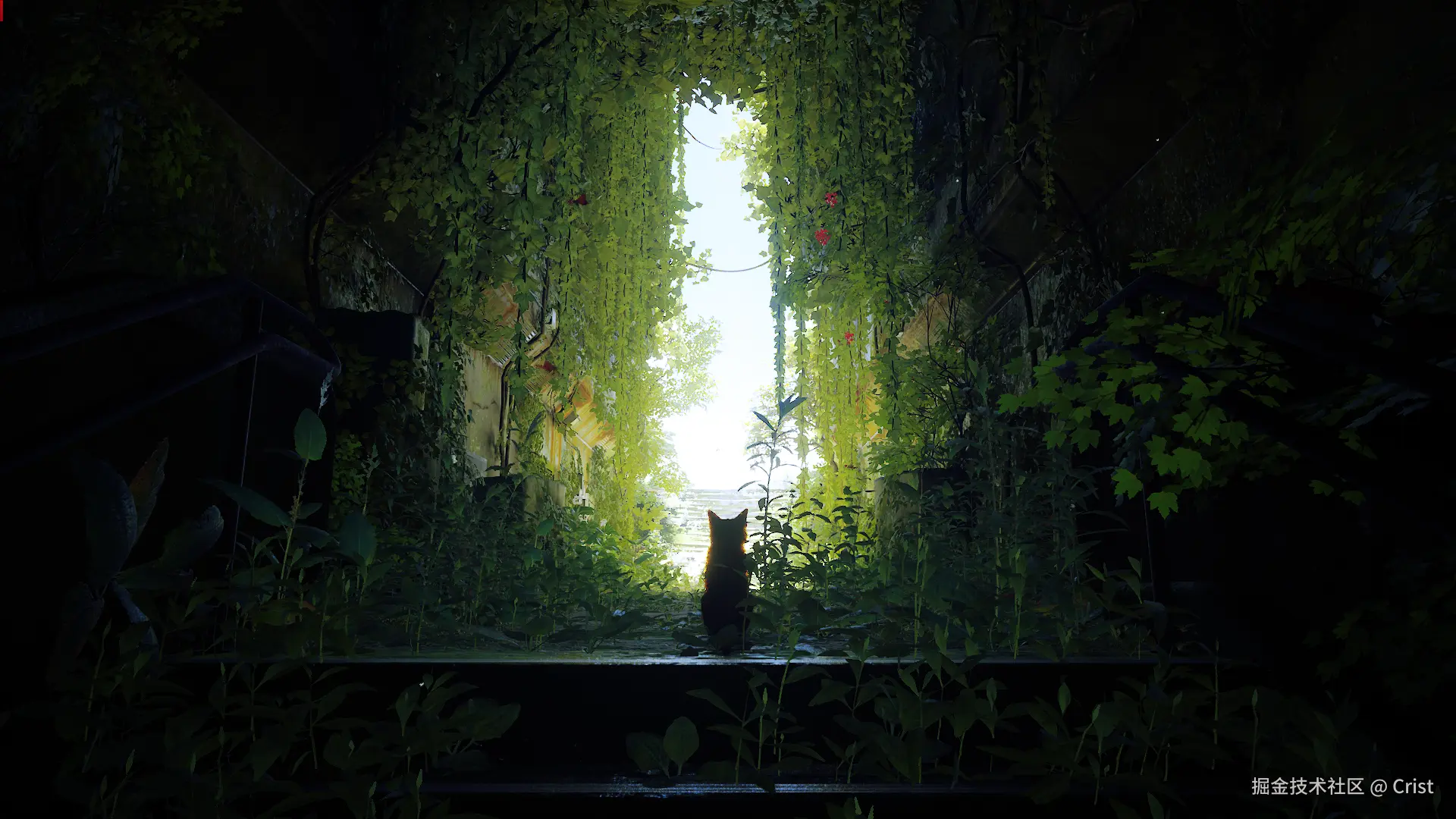 掘金豆包AI刷题