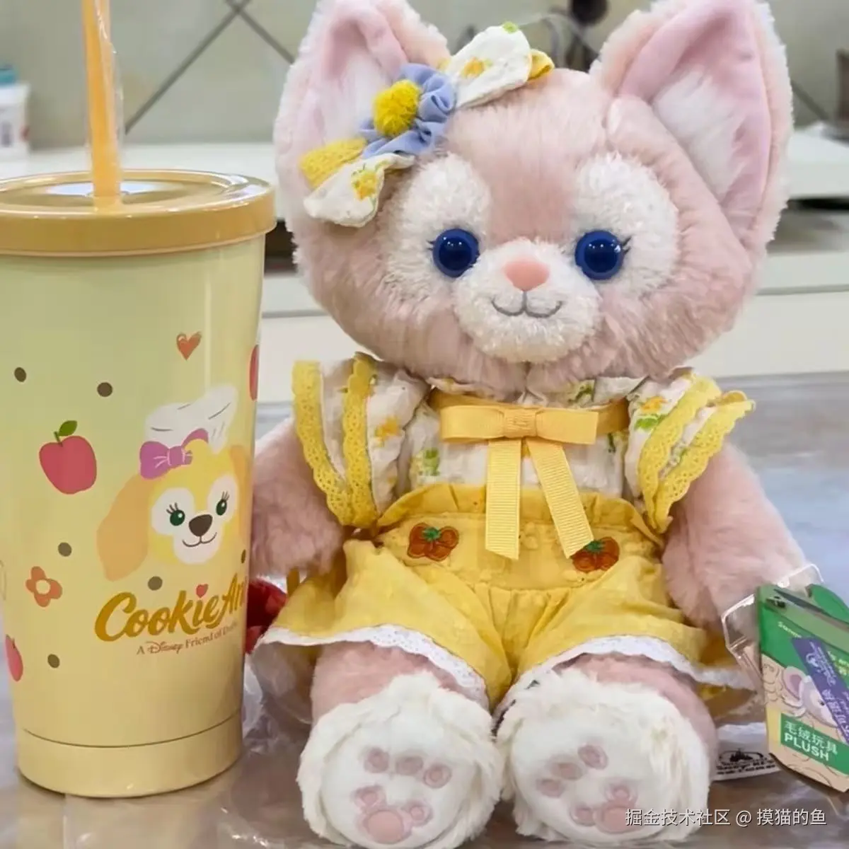 摸猫的鱼于2025-08-28 11:39发布的图片