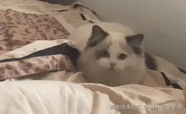 林林摸鱼专用于2024-09-11 13:49发布的图片