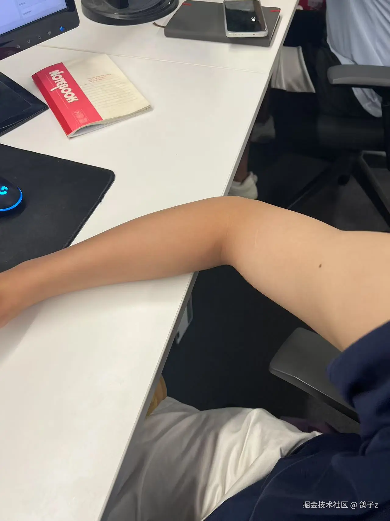 鸽子z于2025-08-05 14:21发布的图片