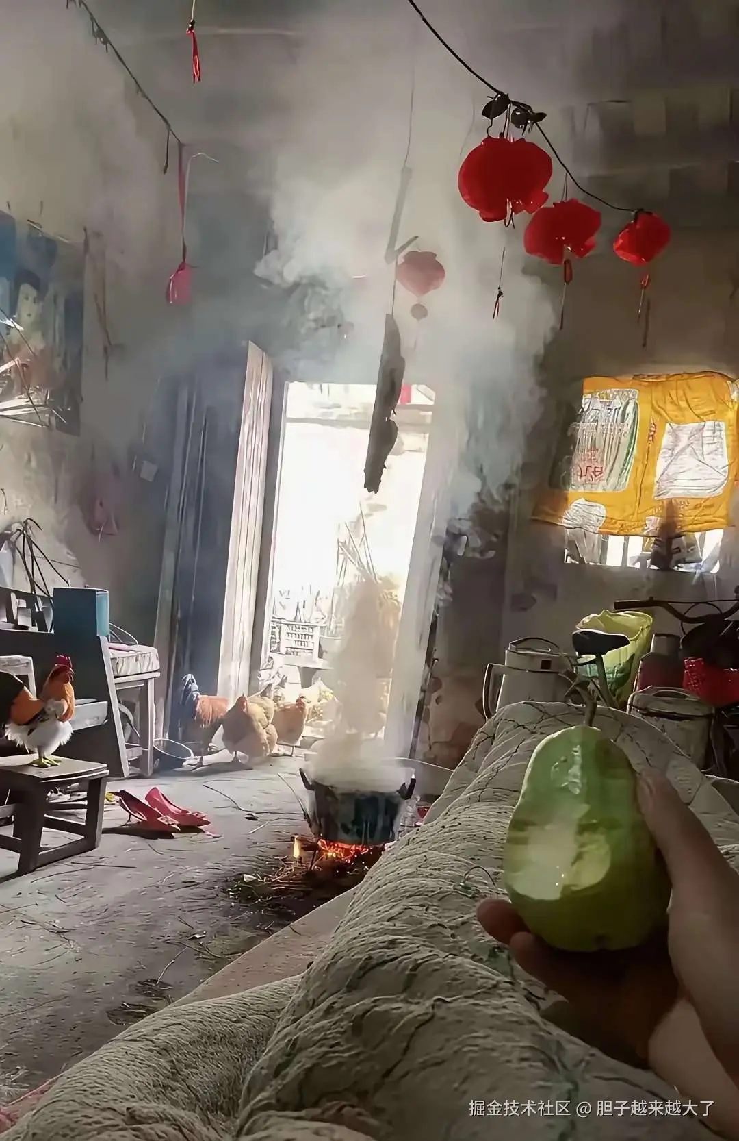 胆子越来越大了于2025-05-16 15:12发布的图片