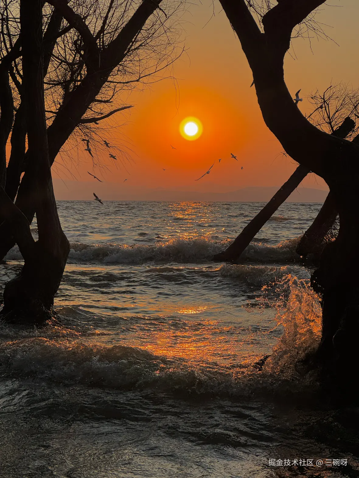 三碗呀于2026-03-06 10:27发布的图片