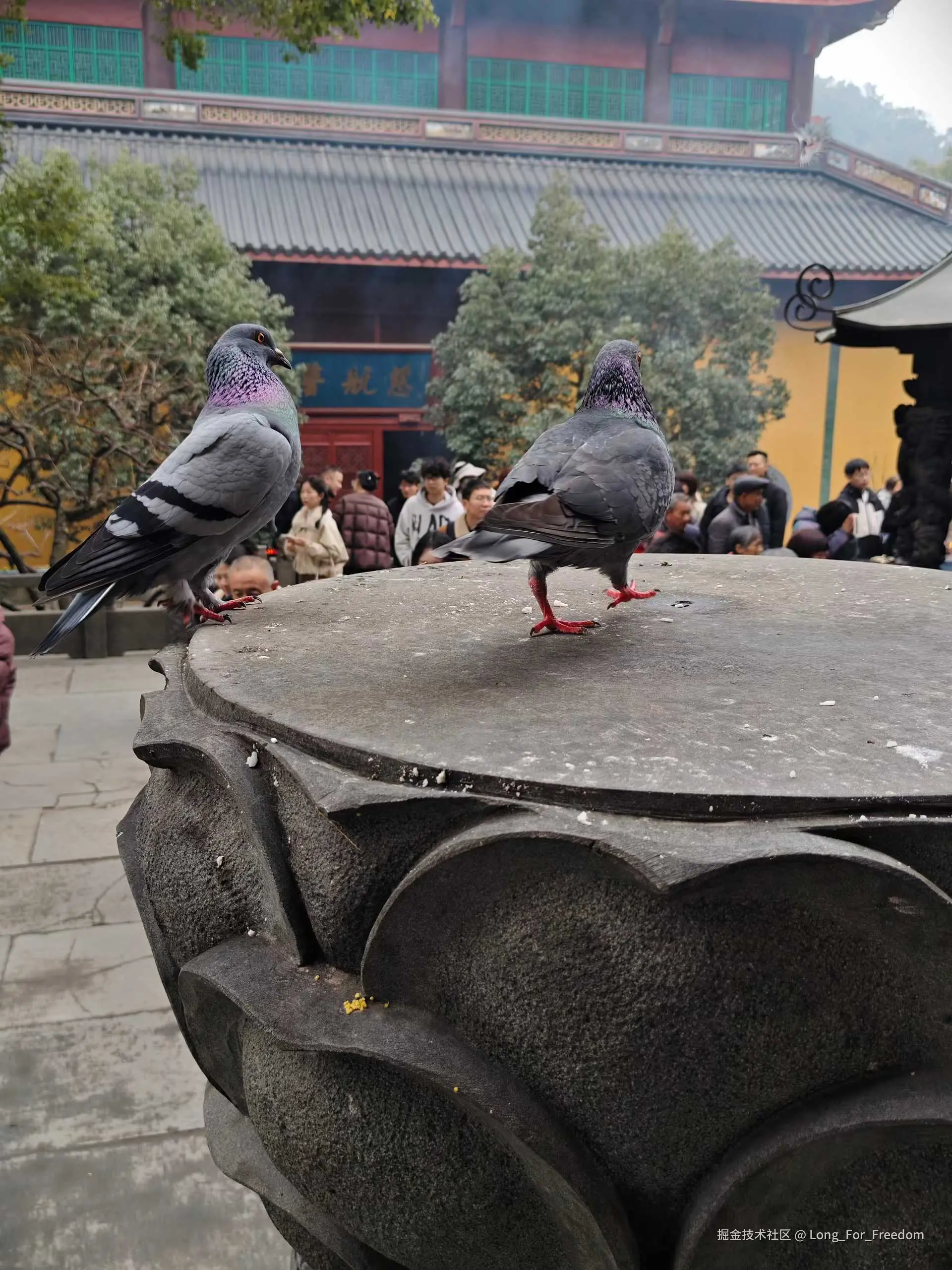 Long_For_Freedom于2026-01-19 10:22发布的图片