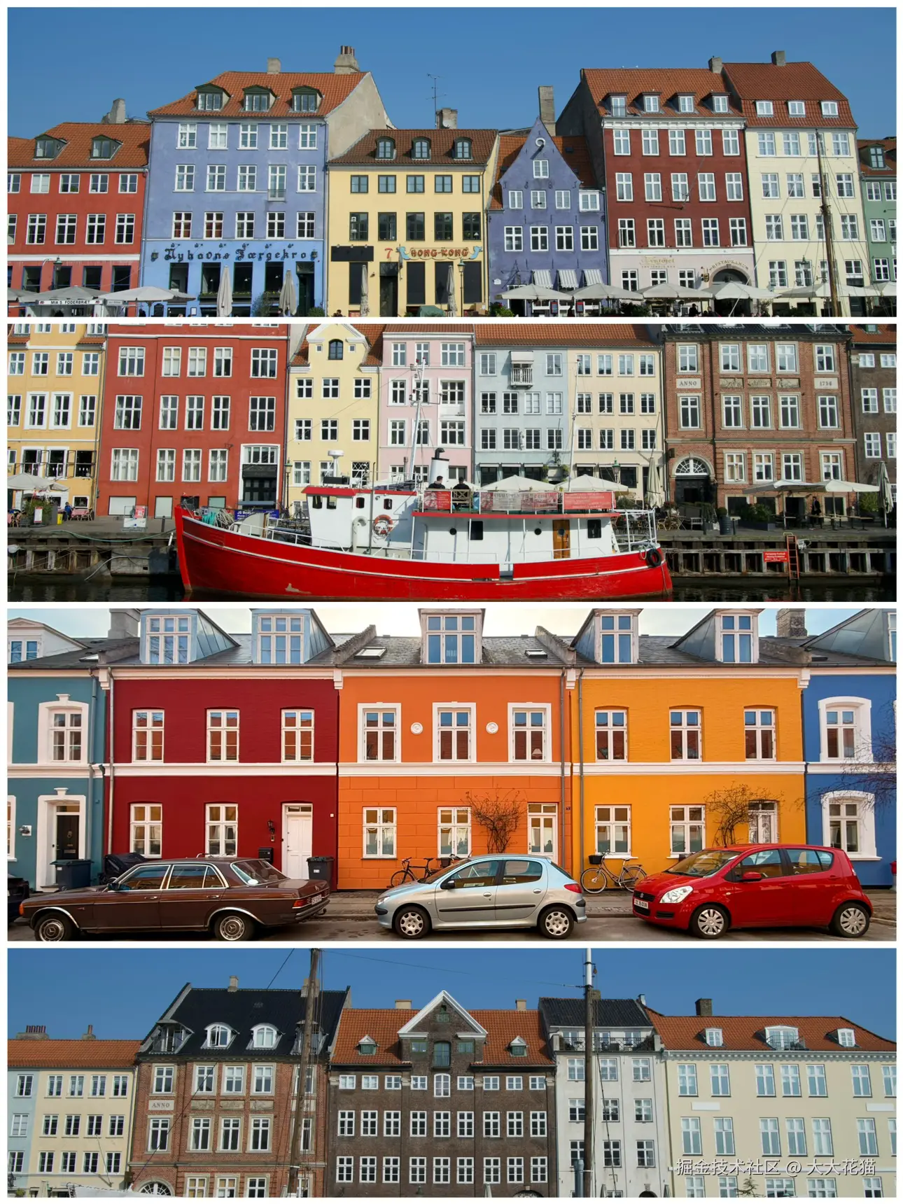 大大花猫于2025-03-13 16:45发布的图片