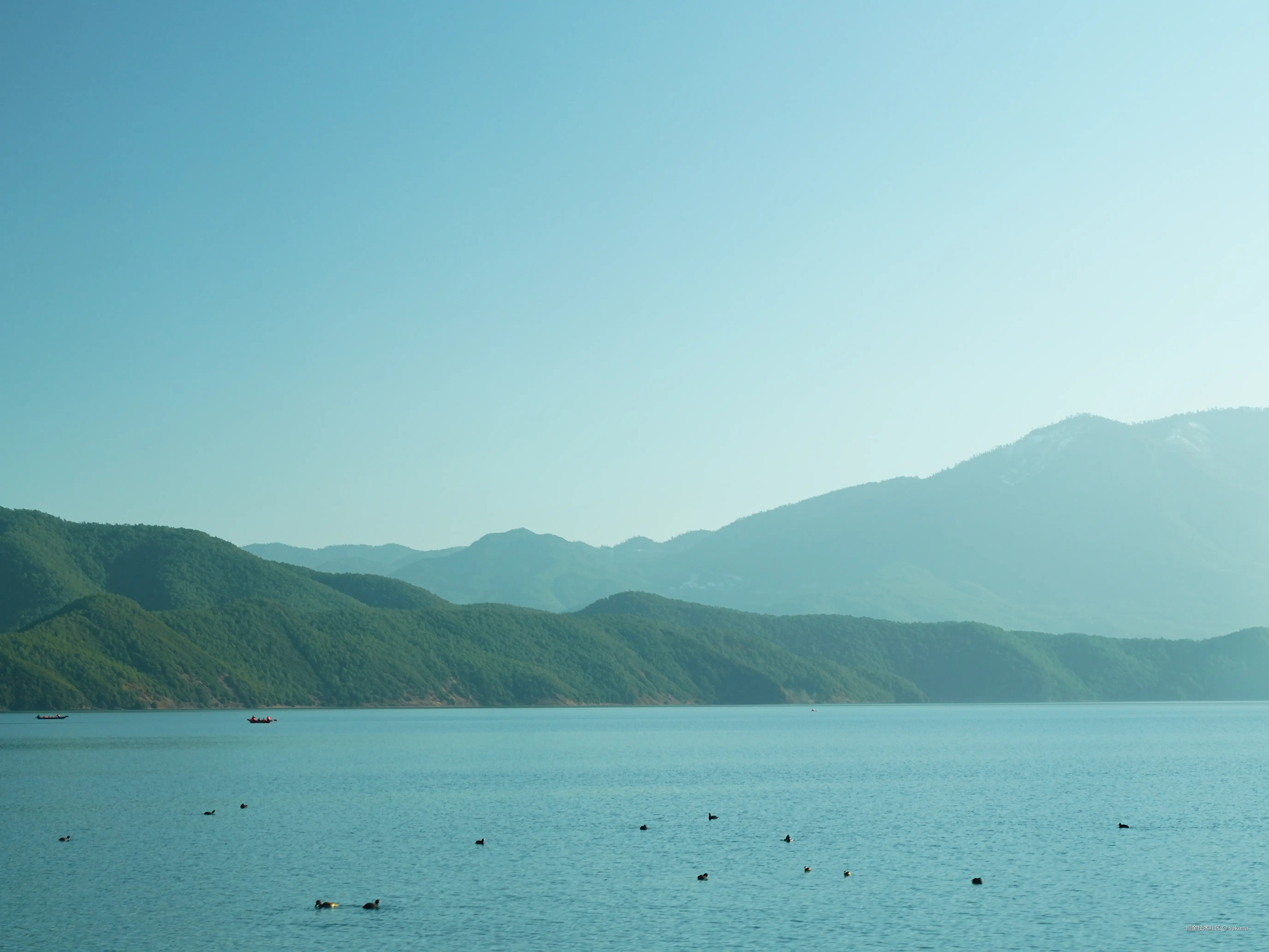 sakana于2025-02-05 01:40发布的图片