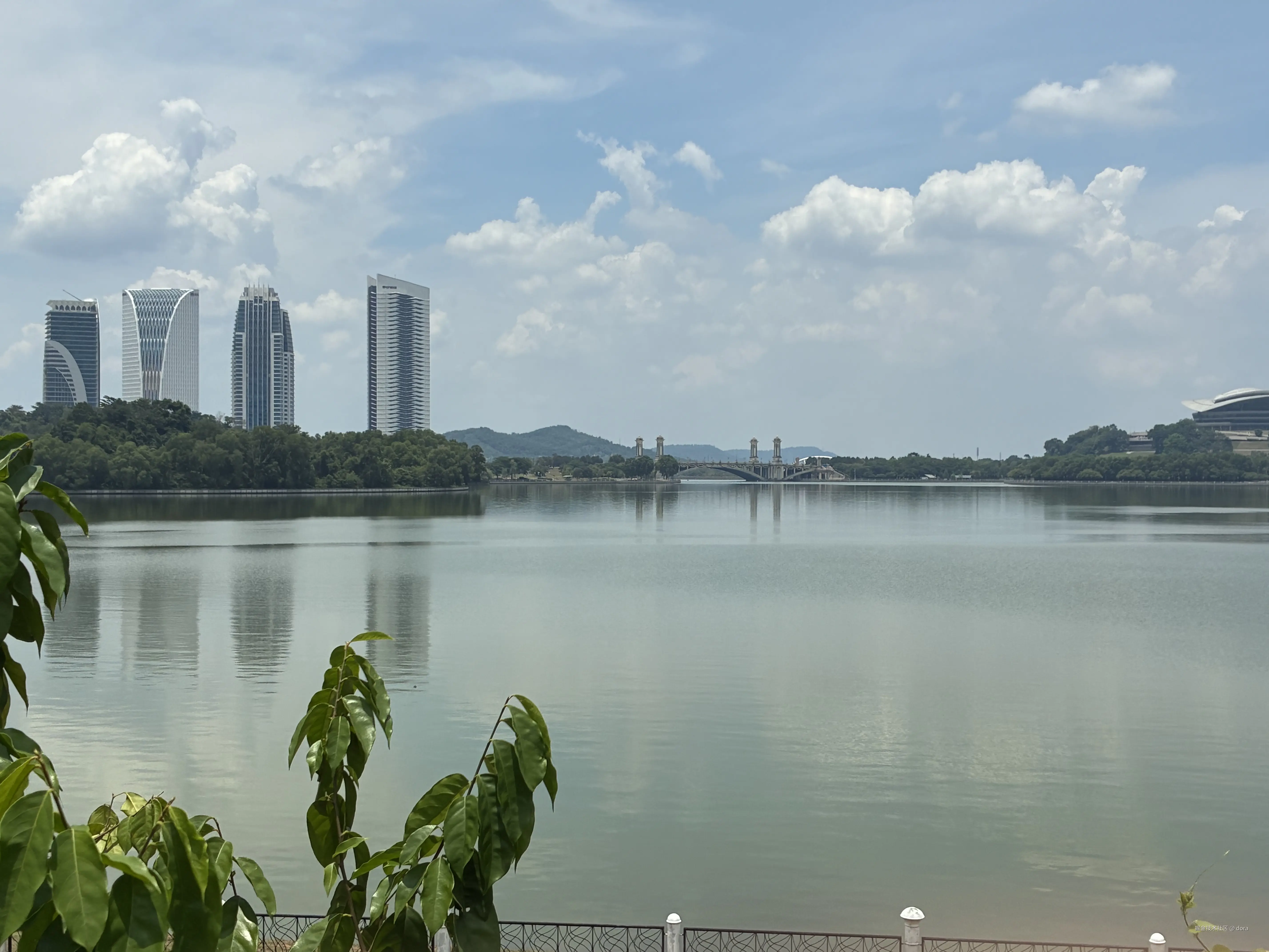 dora于2026-04-13 00:29发布的图片