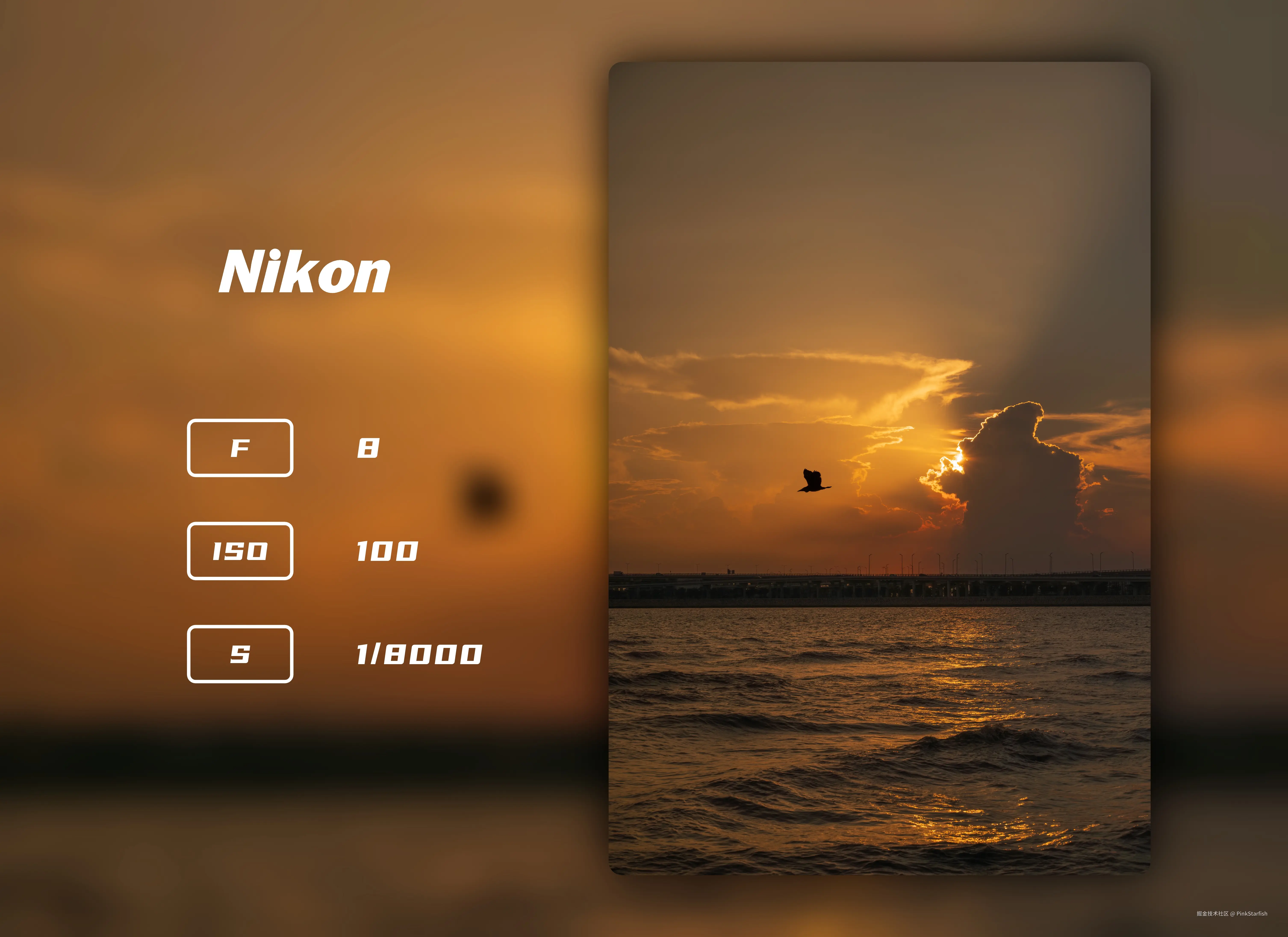 PinkStarfish于2025-06-10 10:49发布的图片