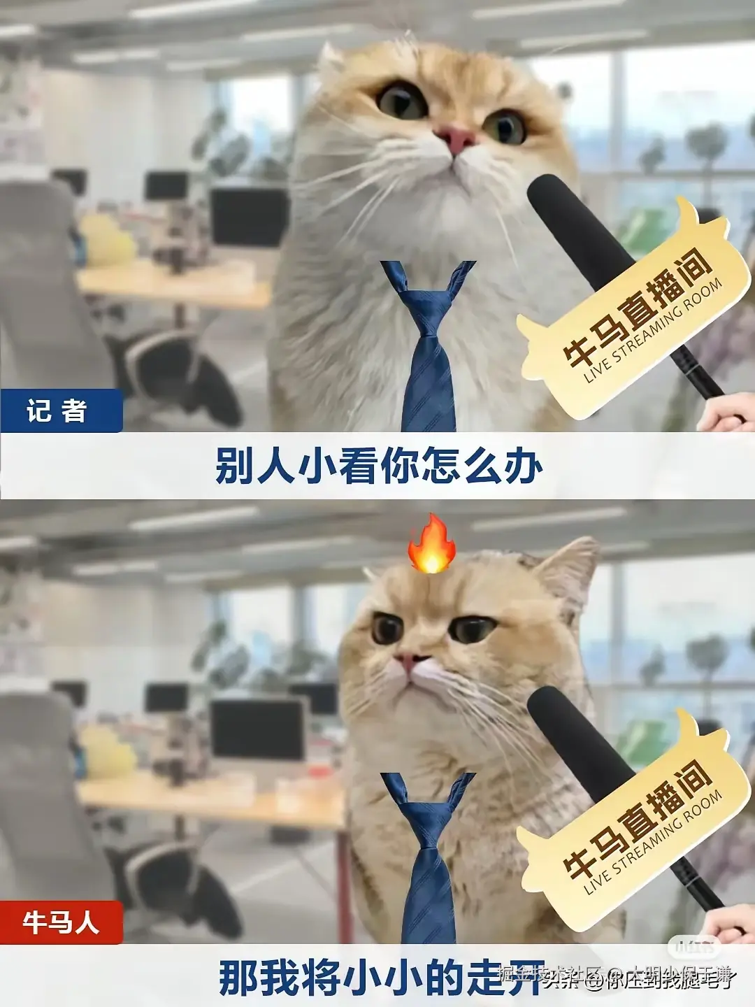 大明少保于谦于2025-04-27 09:32发布的图片