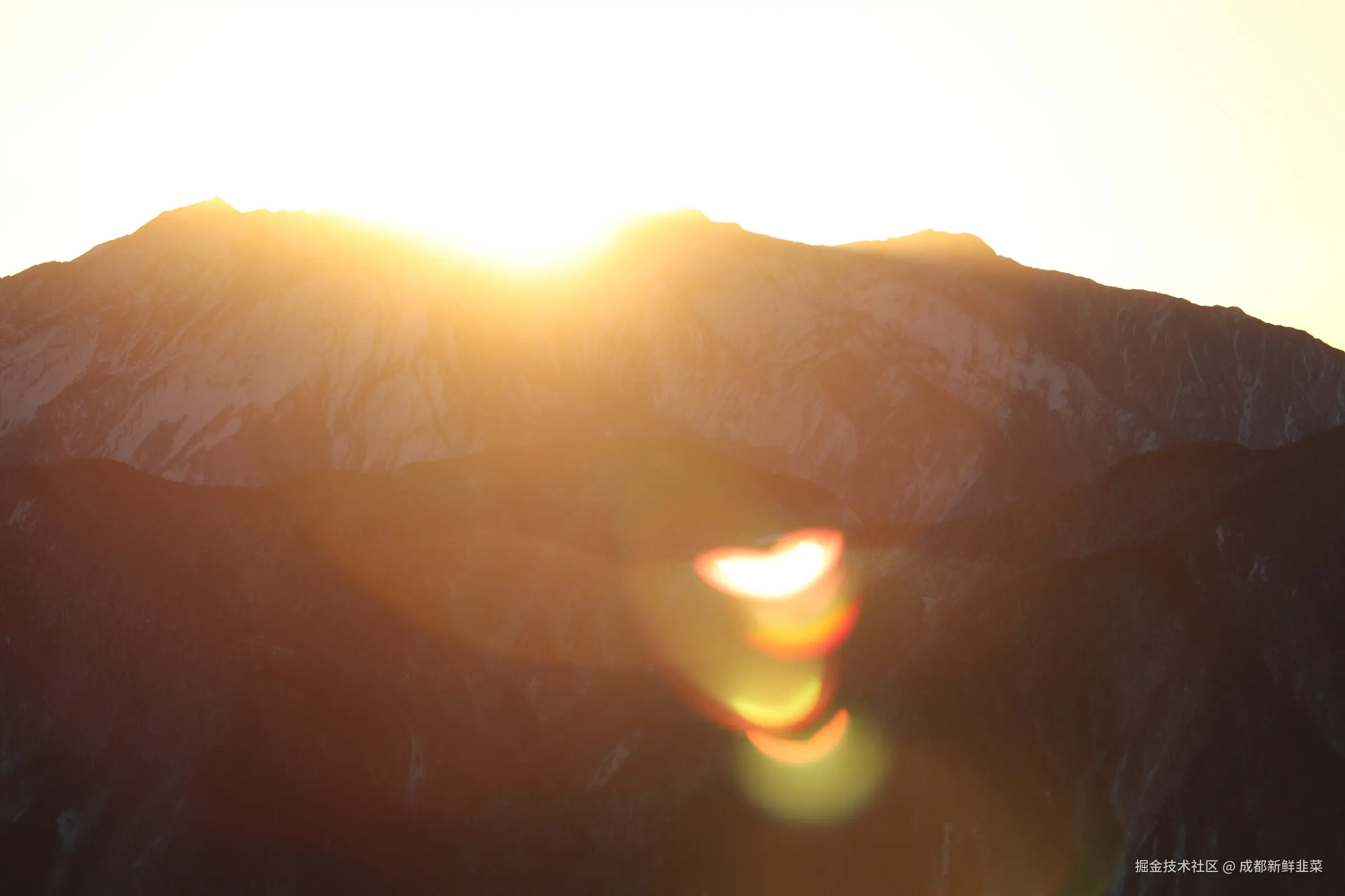 成都新鲜韭菜于2024-12-02 10:02发布的图片