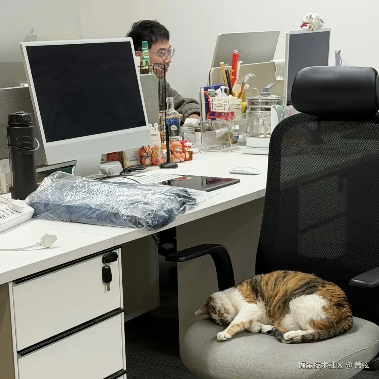 萧弦于2026-04-15 13:35发布的图片