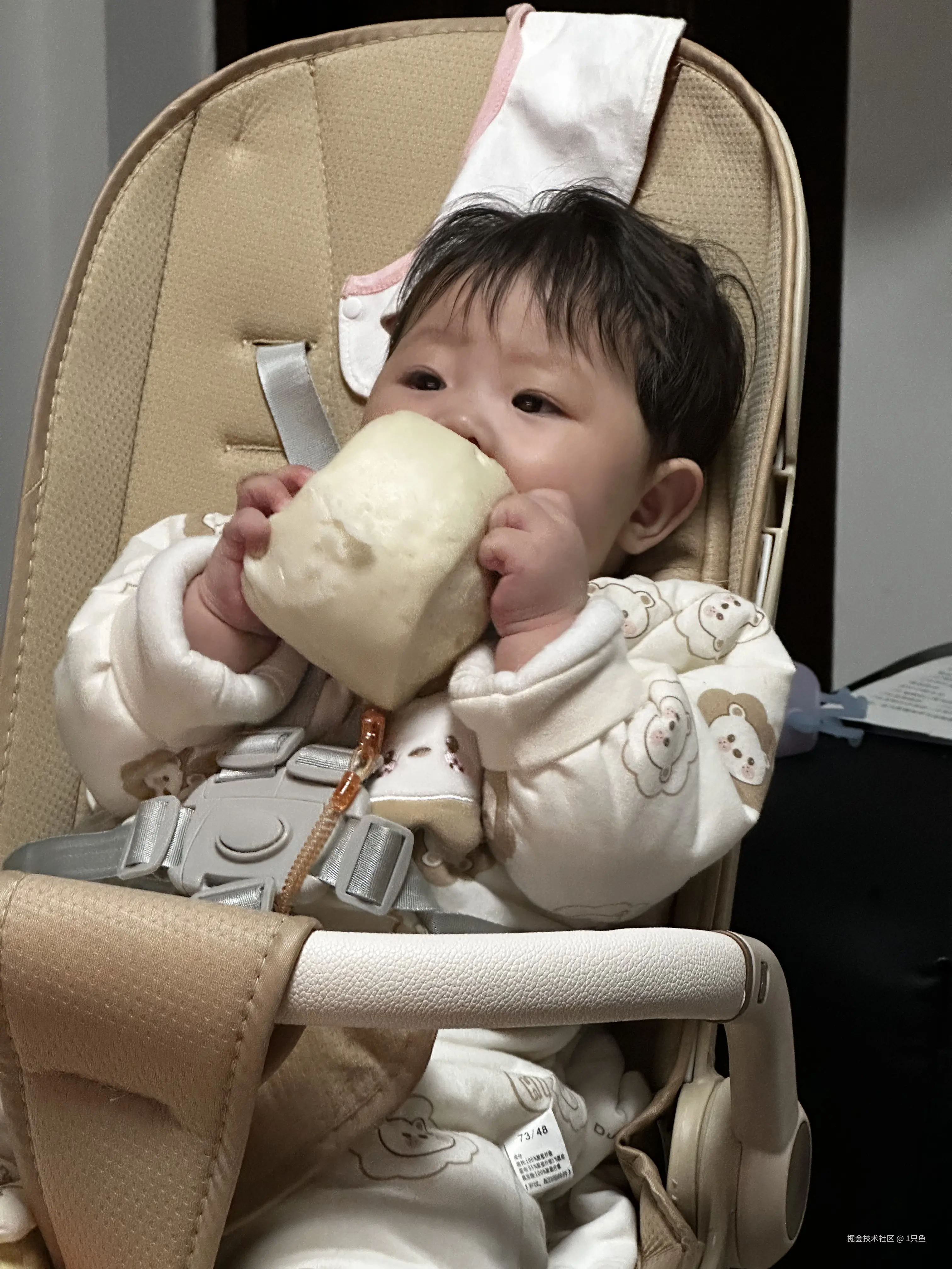 1只鱼于2026-01-28 14:38发布的图片