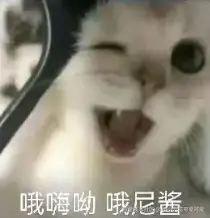 小小六花可爱可爱于2026-02-06 09:45发布的图片