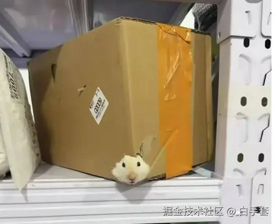 白手套于2025-07-08 03:00发布的图片