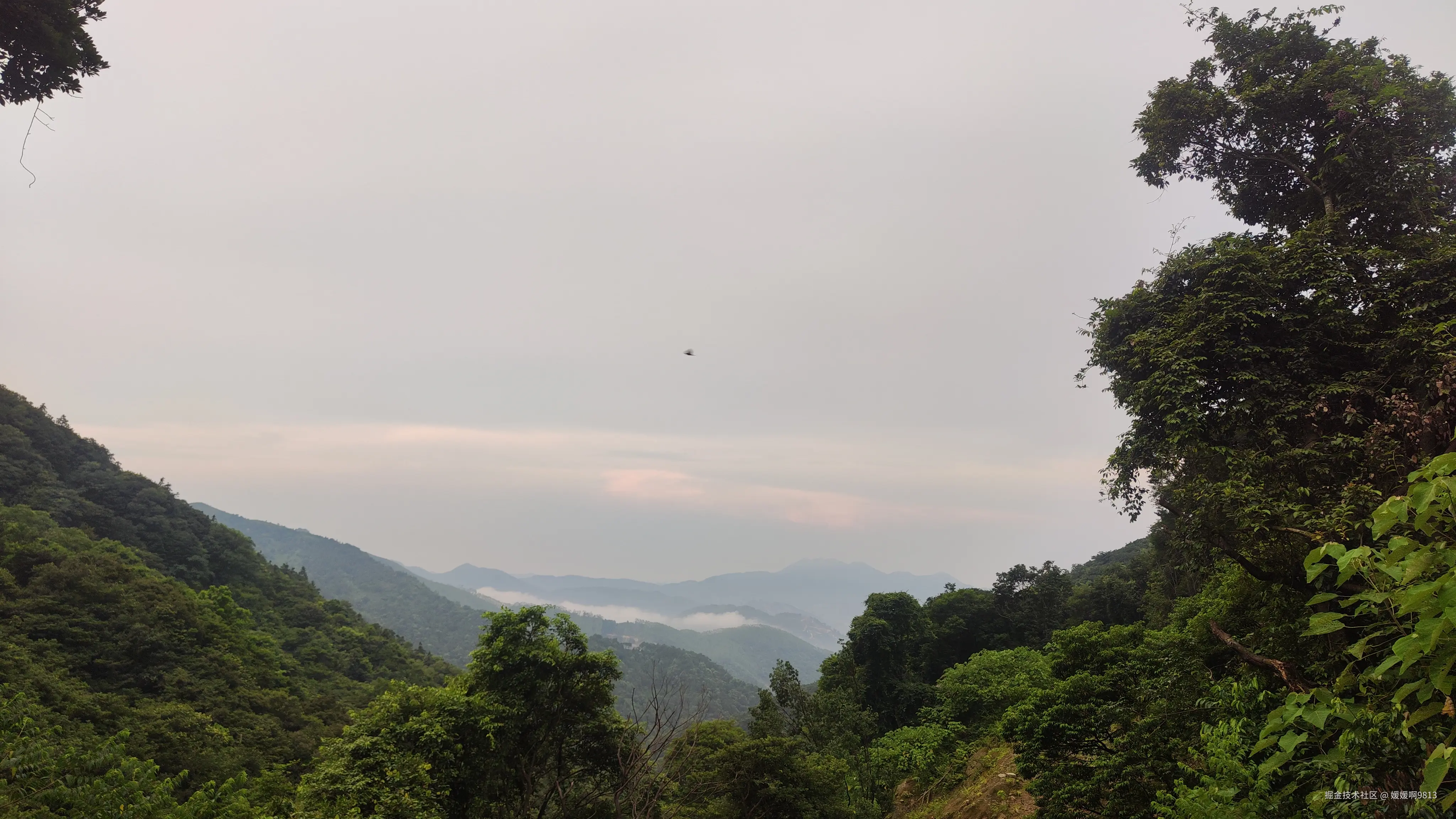 媛媛啊9813于2025-07-20 16:55发布的图片