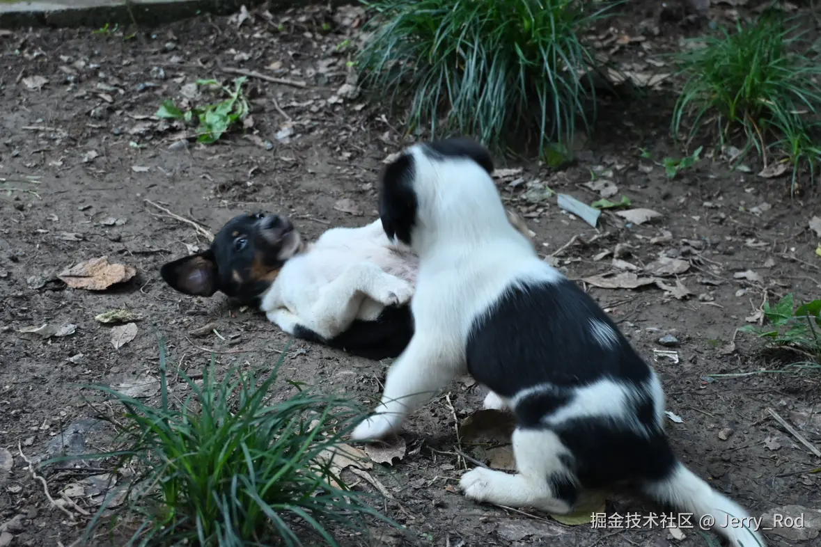 Jerry_Rod于2025-07-21 10:37发布的图片