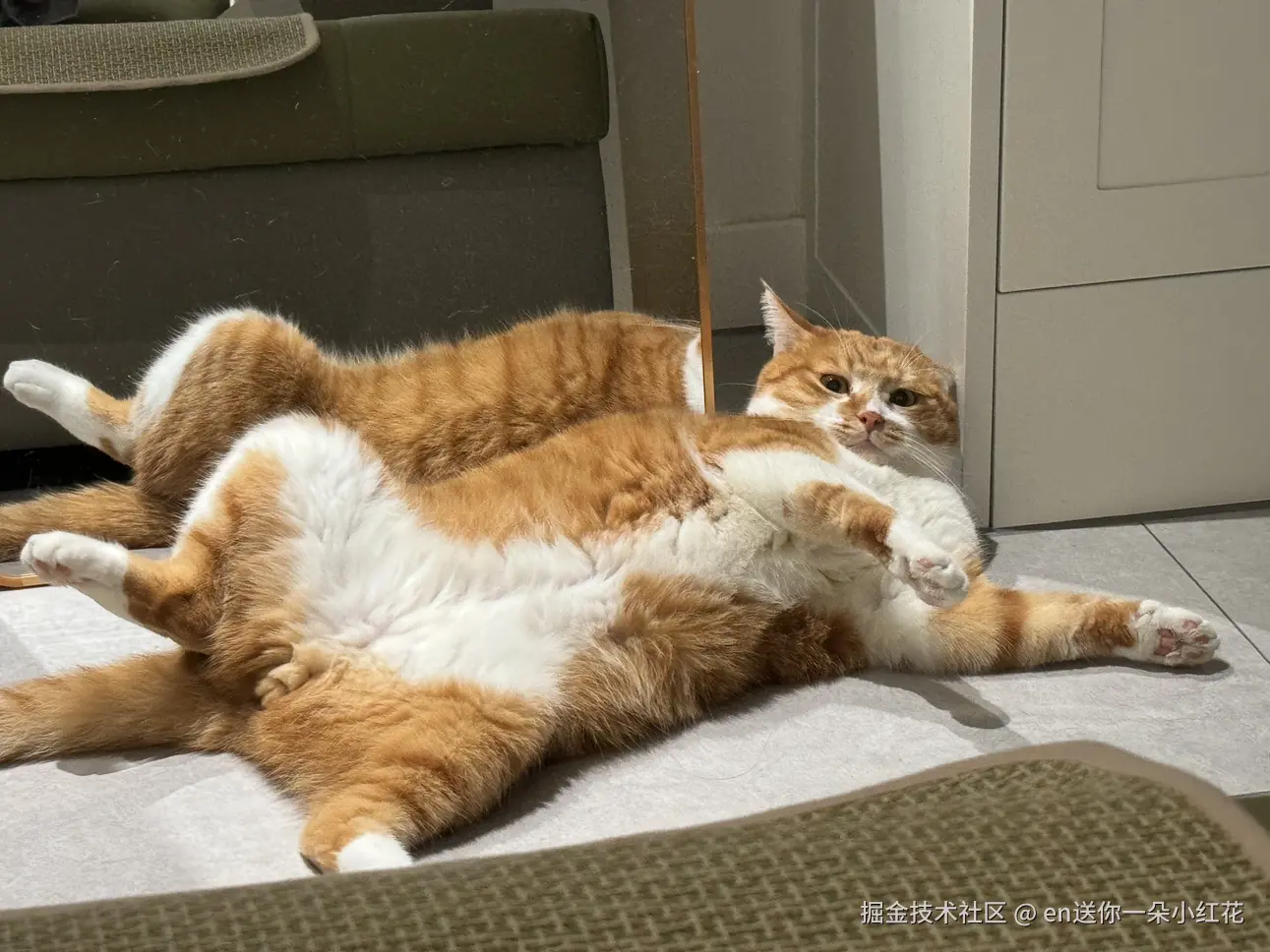 en送你一朵小红花于2024-09-25 14:02发布的图片