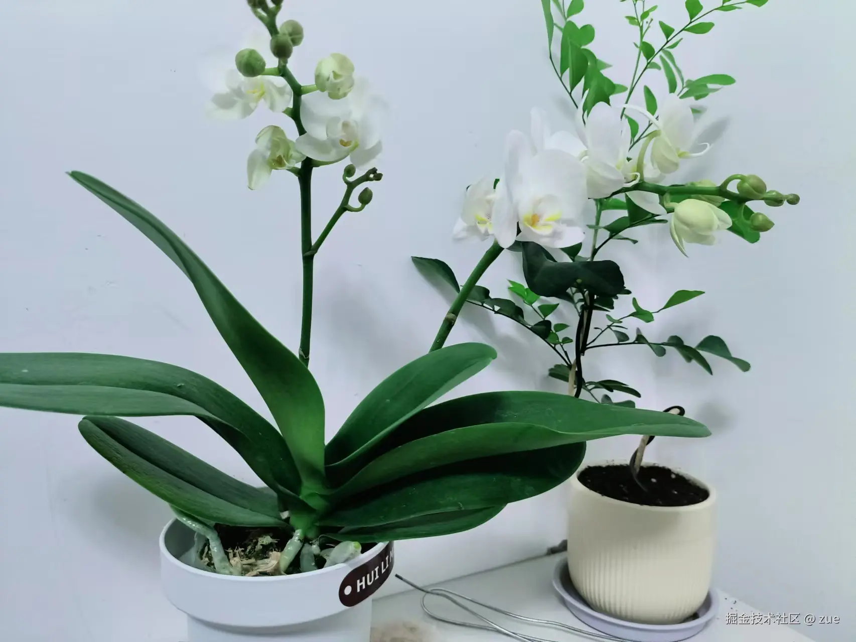 zue于2025-09-05 11:07发布的图片