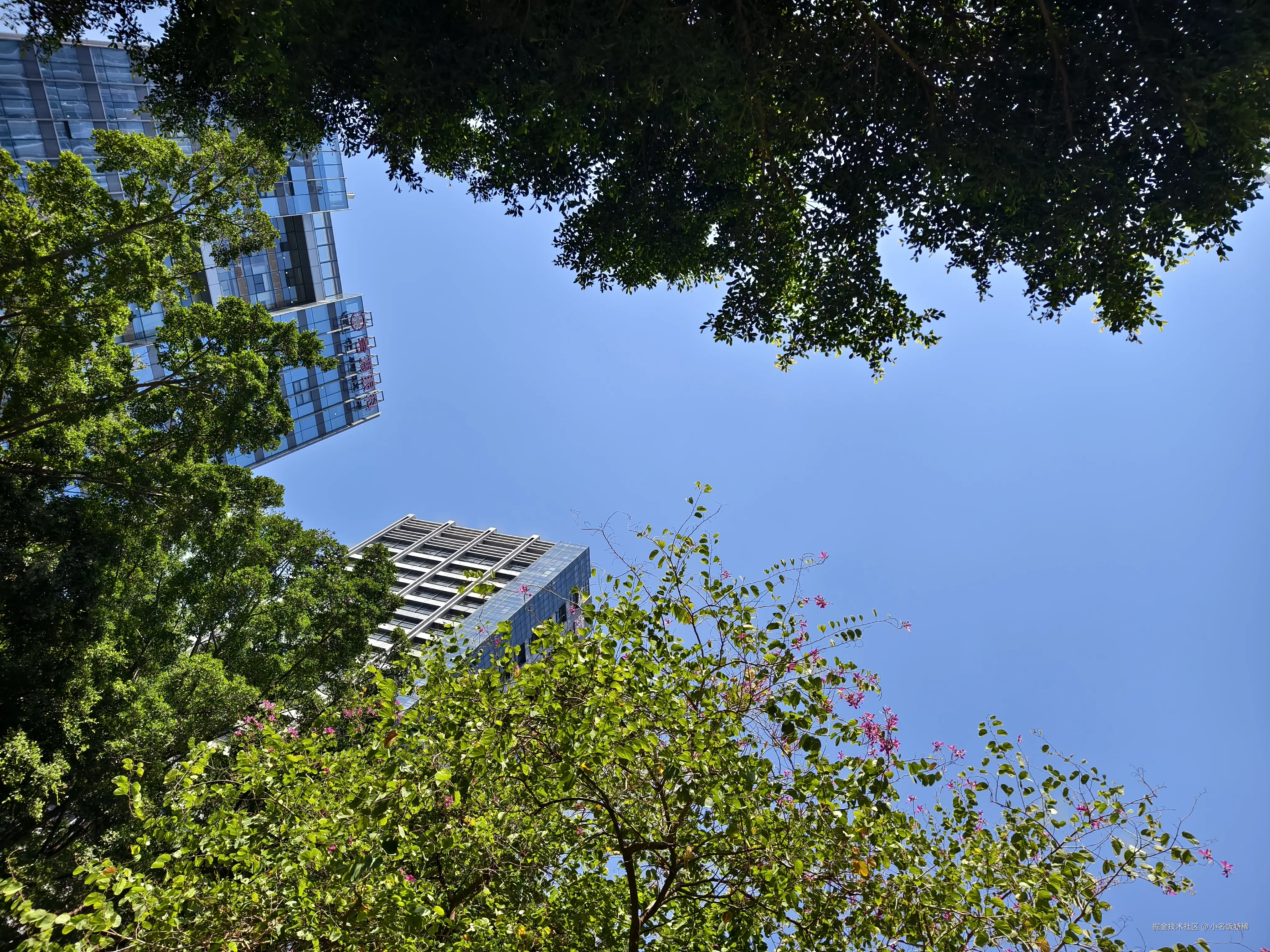 小名饭特稀于2026-03-13 14:23发布的图片