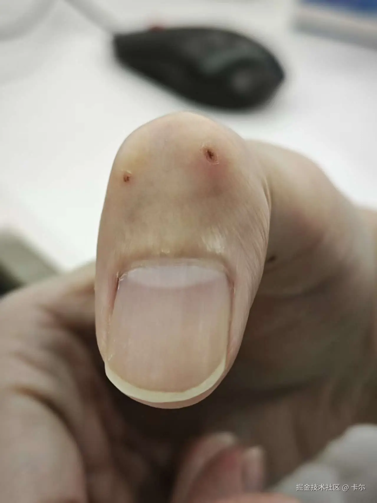 卡尓于2025-12-08 10:38发布的图片