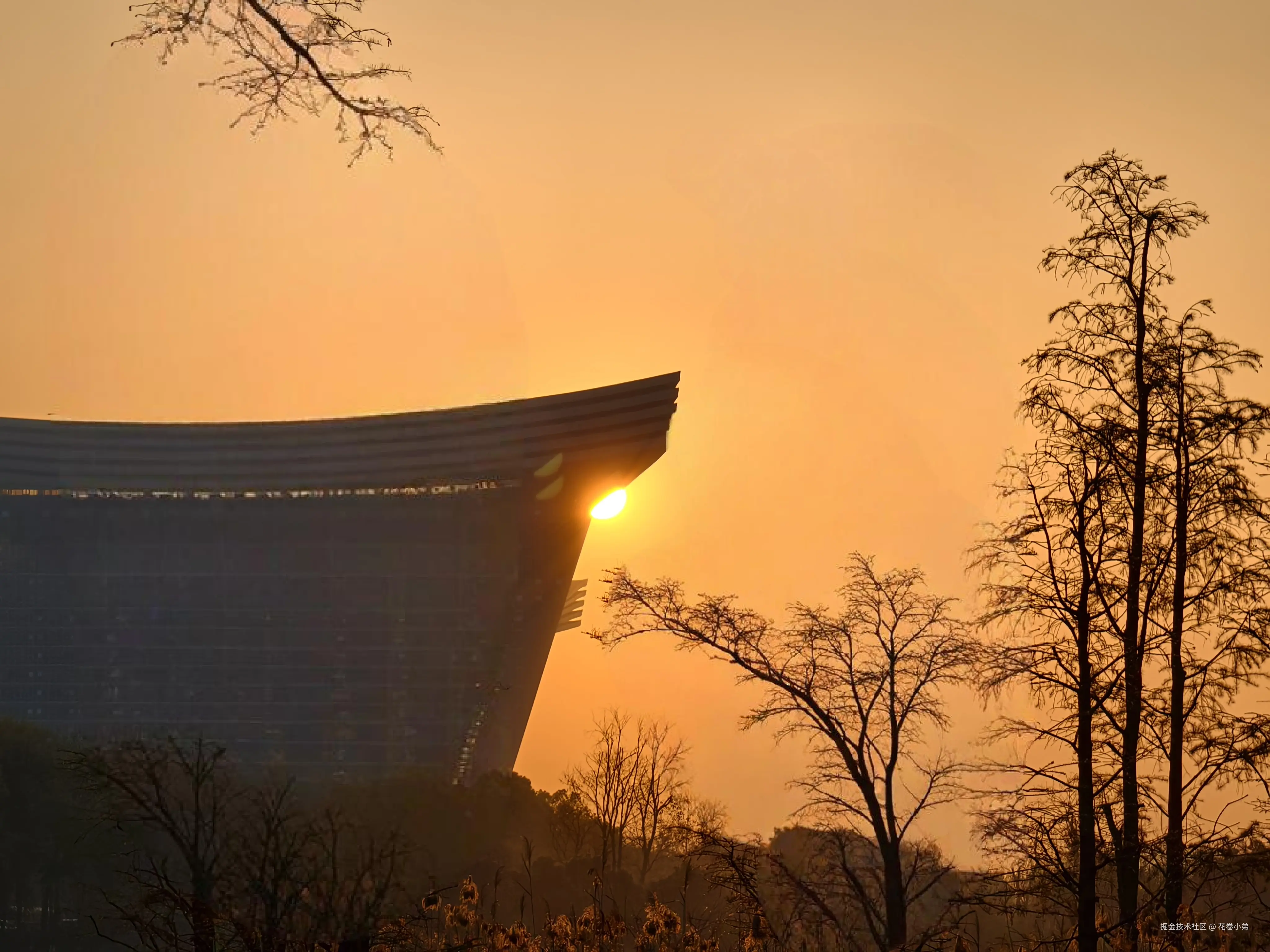 花卷小弟于2025-03-26 10:07发布的图片