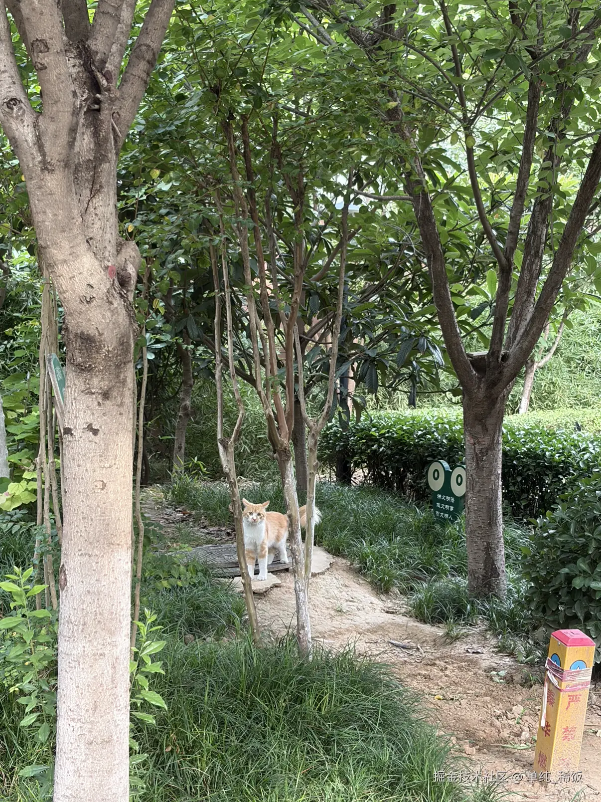 单纯_稀饭于2026-07-27 00:19发布的图片